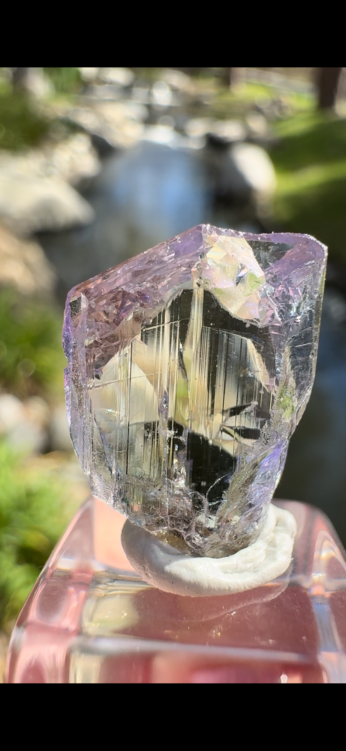 A5487741-086A-42EC-ABB8-EE1B9C1B678C