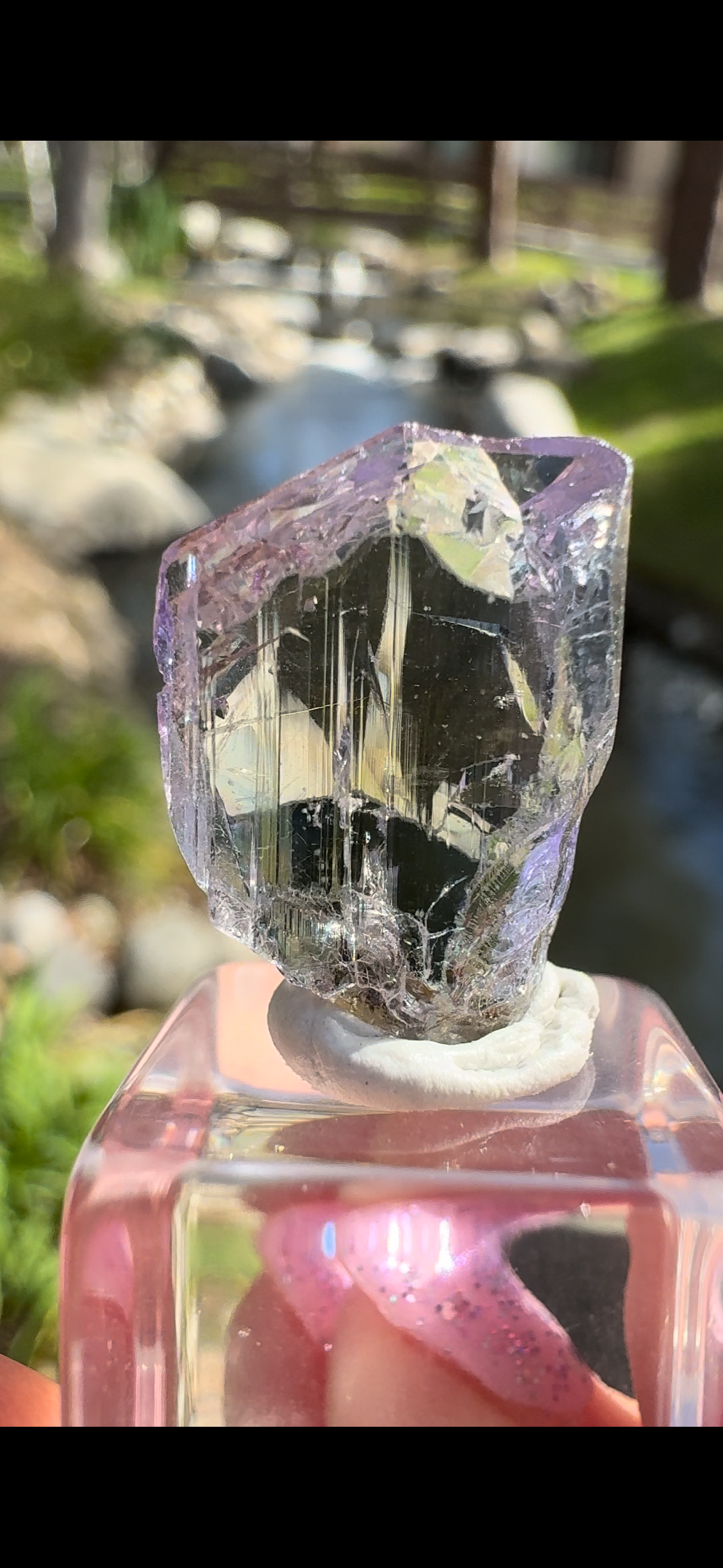 502C5D3F-98E9-404E-AEB5-5077307B0866