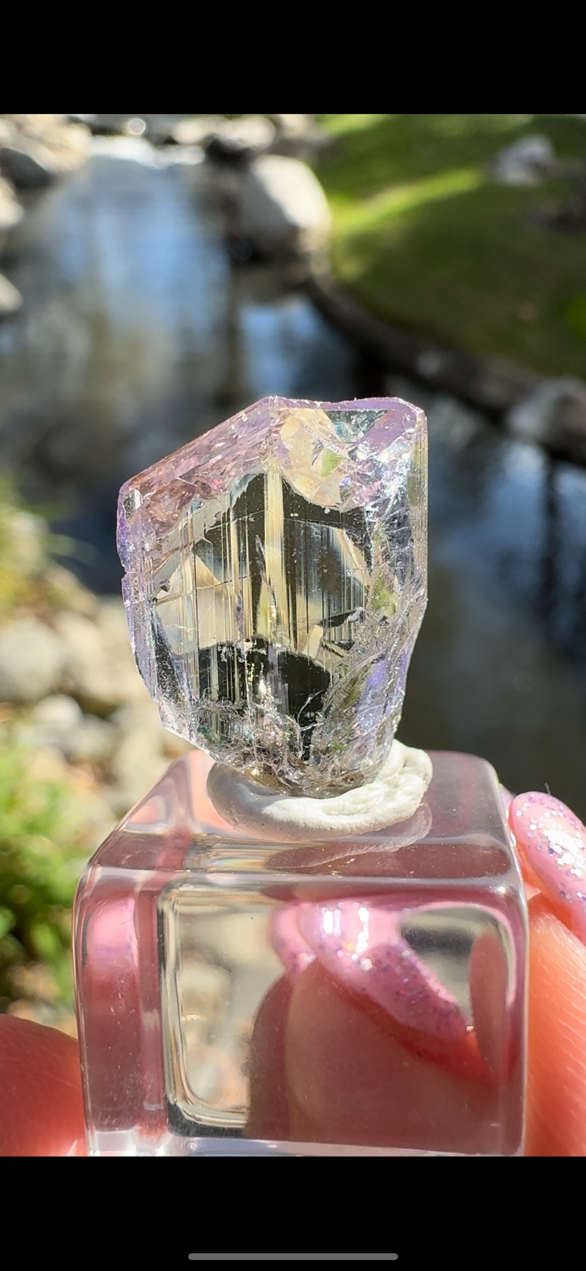 B7D60BD4-7339-4D2A-B87B-B03C6E66D841