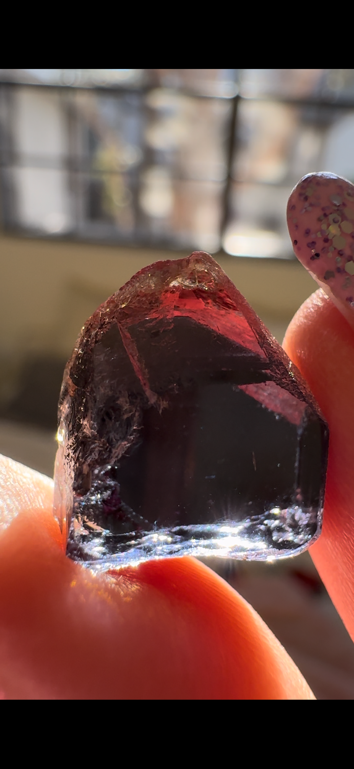 B430AE7E-ED3E-4558-B11E-016D249D5C8F