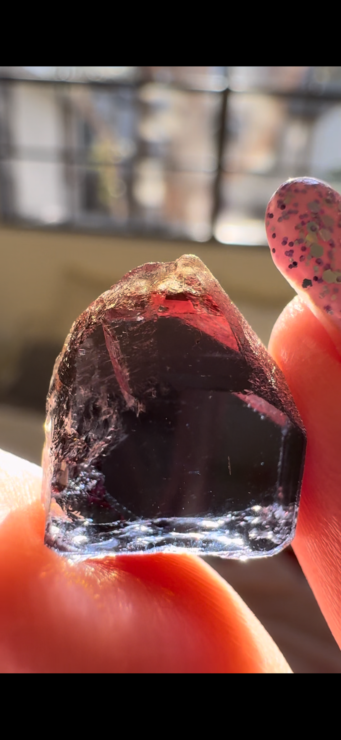 43FAE956-12A0-4E65-B556-AAB8332FE26E