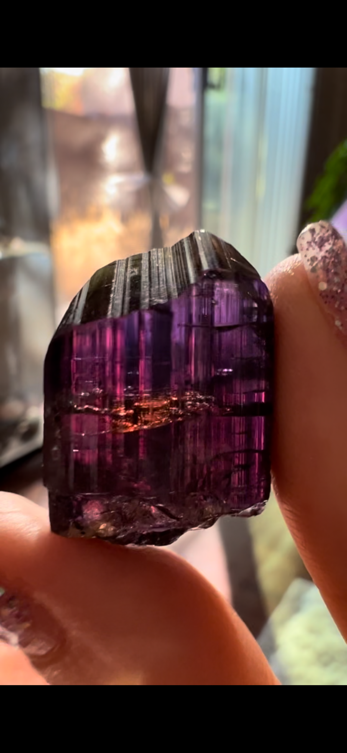 130F7DDF-D91C-43CF-BEBB-BD871EFC9B0D