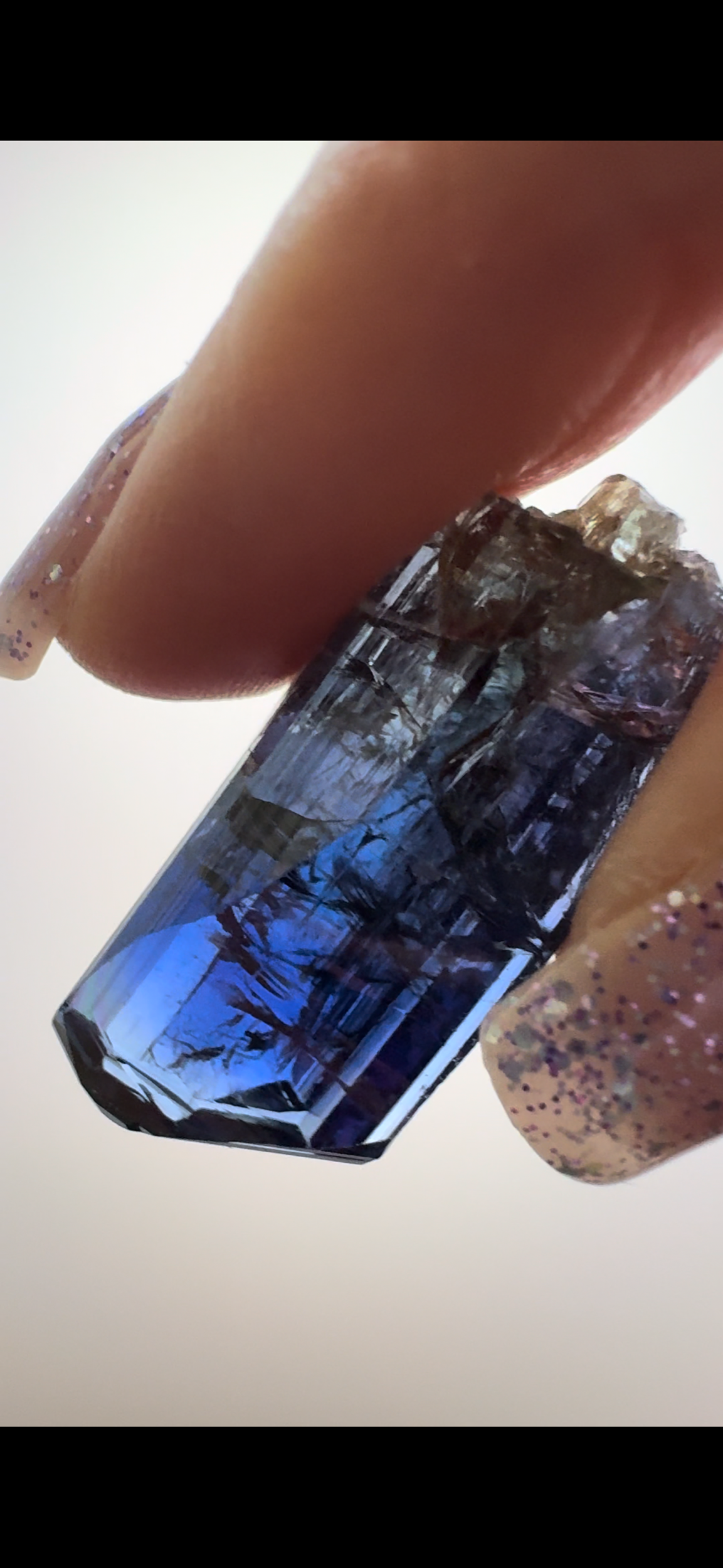 8EDEC451-FB95-4631-825F-B895CE0D58B0