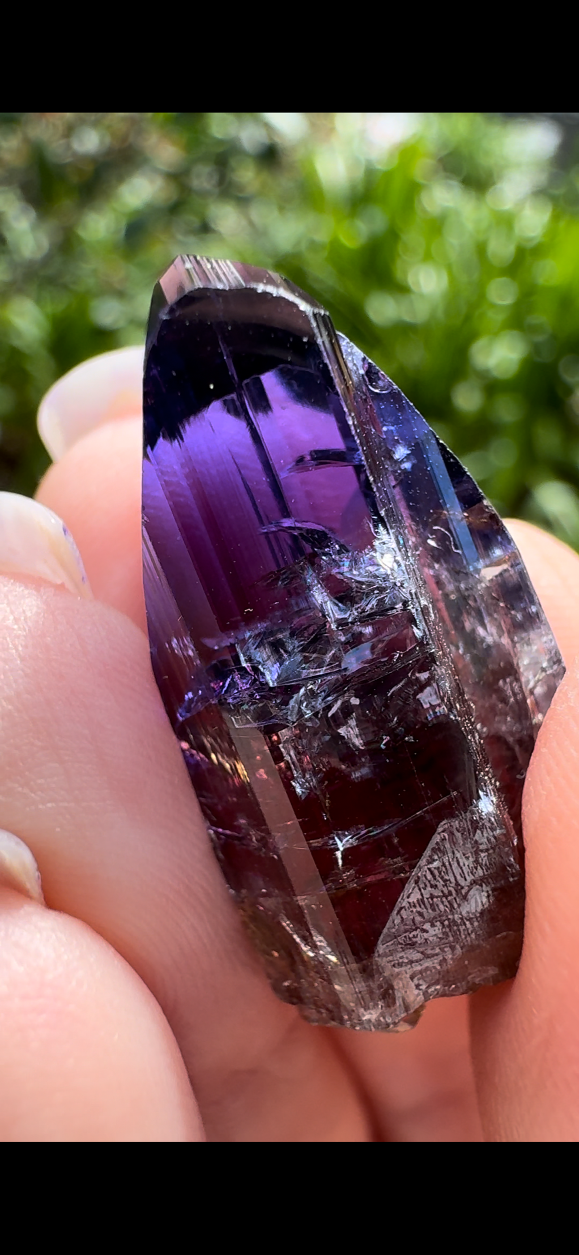 FB167CF1-5287-4BE9-BF3D-BBFBB48BBBB0