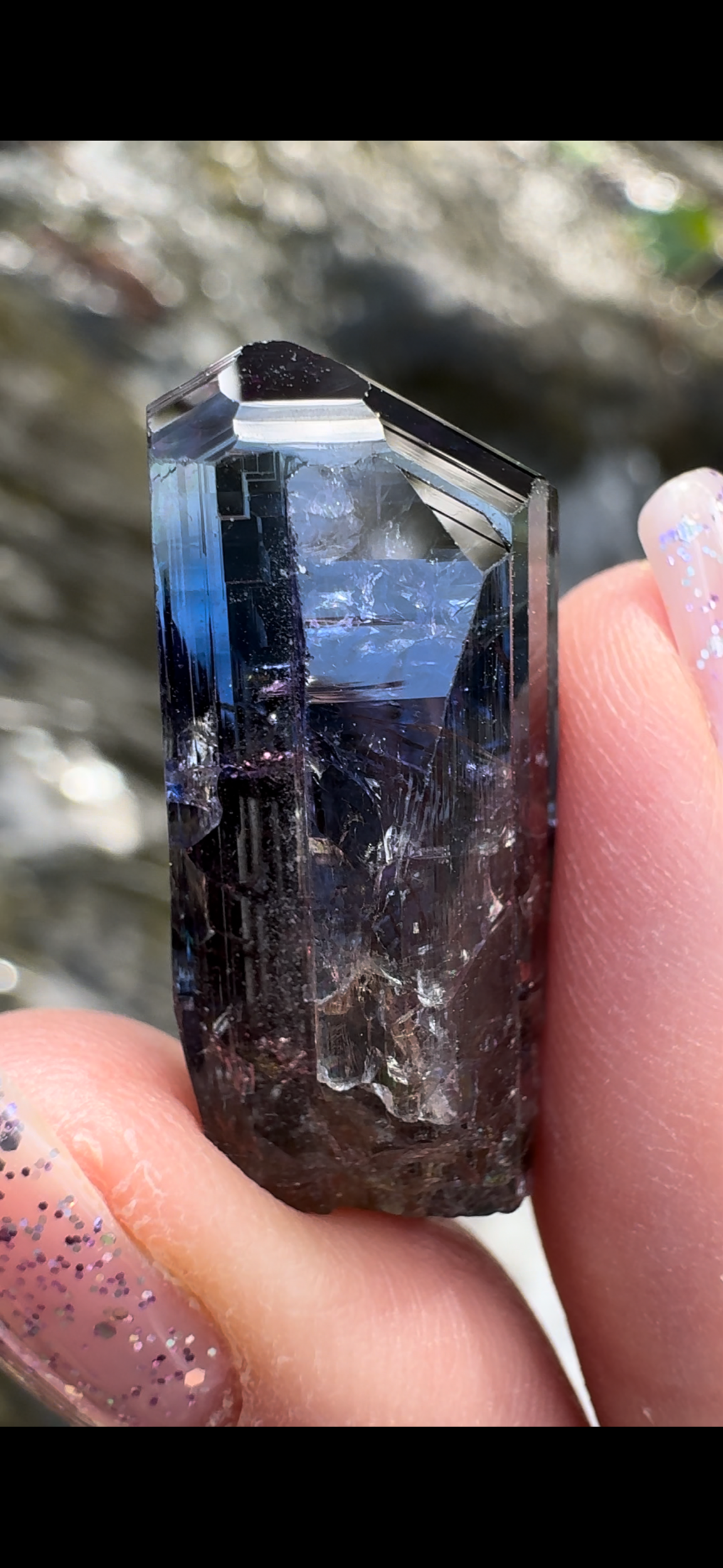 68E3E54C-4732-41FE-ADB5-B8E74BD08FCB