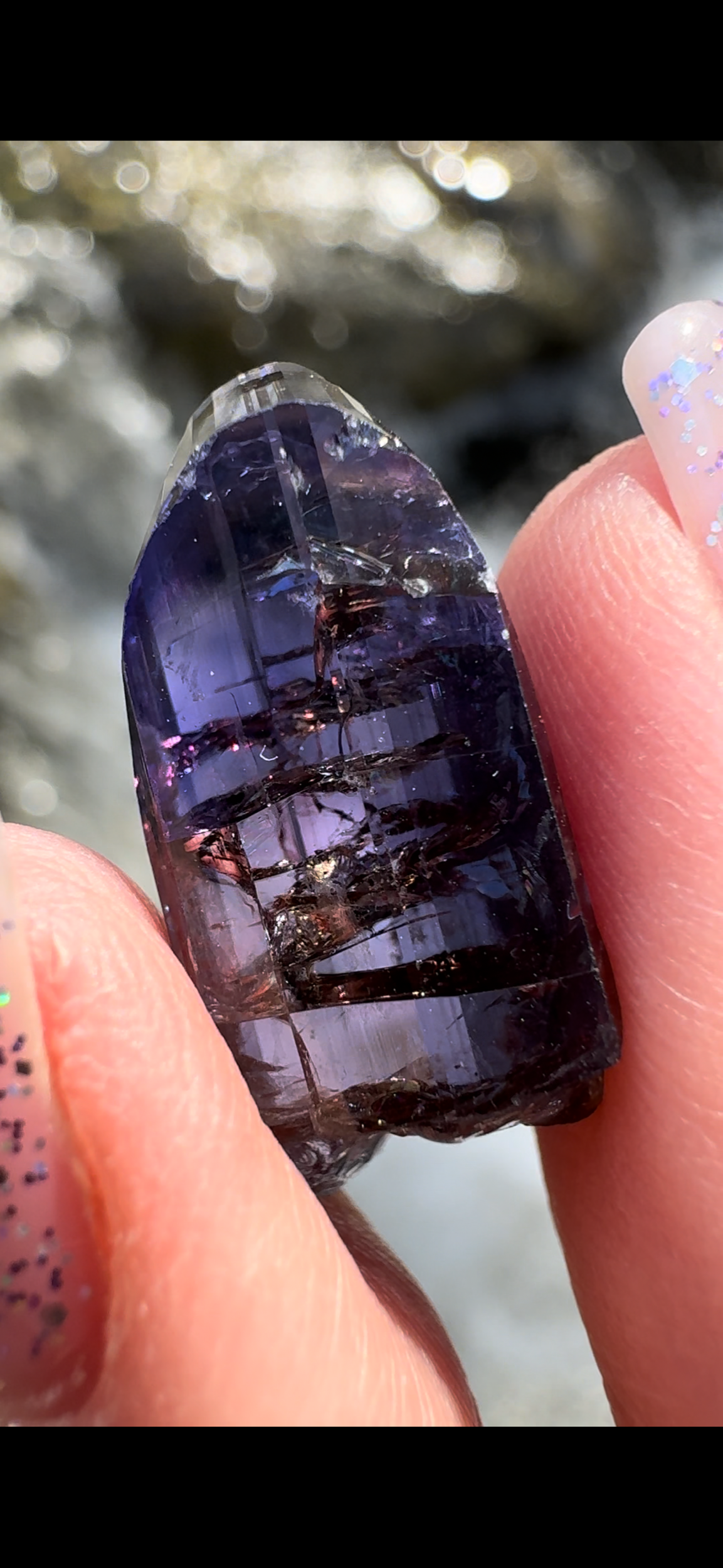 F71DCC50-909D-4022-A02B-7D8A16200617