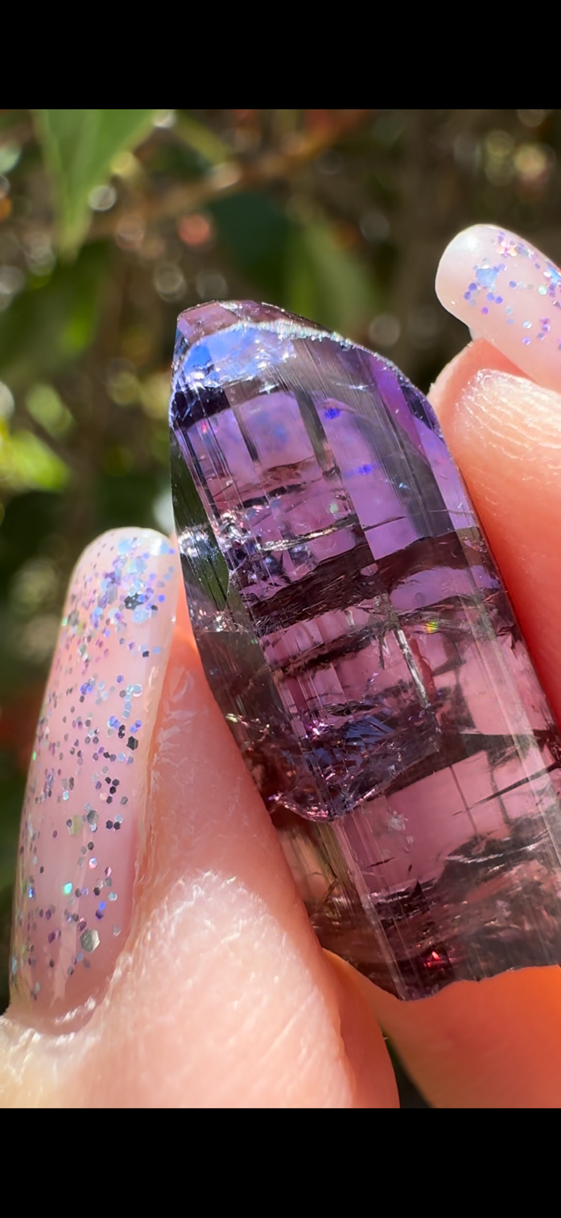 420B3B96-9CAB-48F0-8E68-AACCEC0C77C2