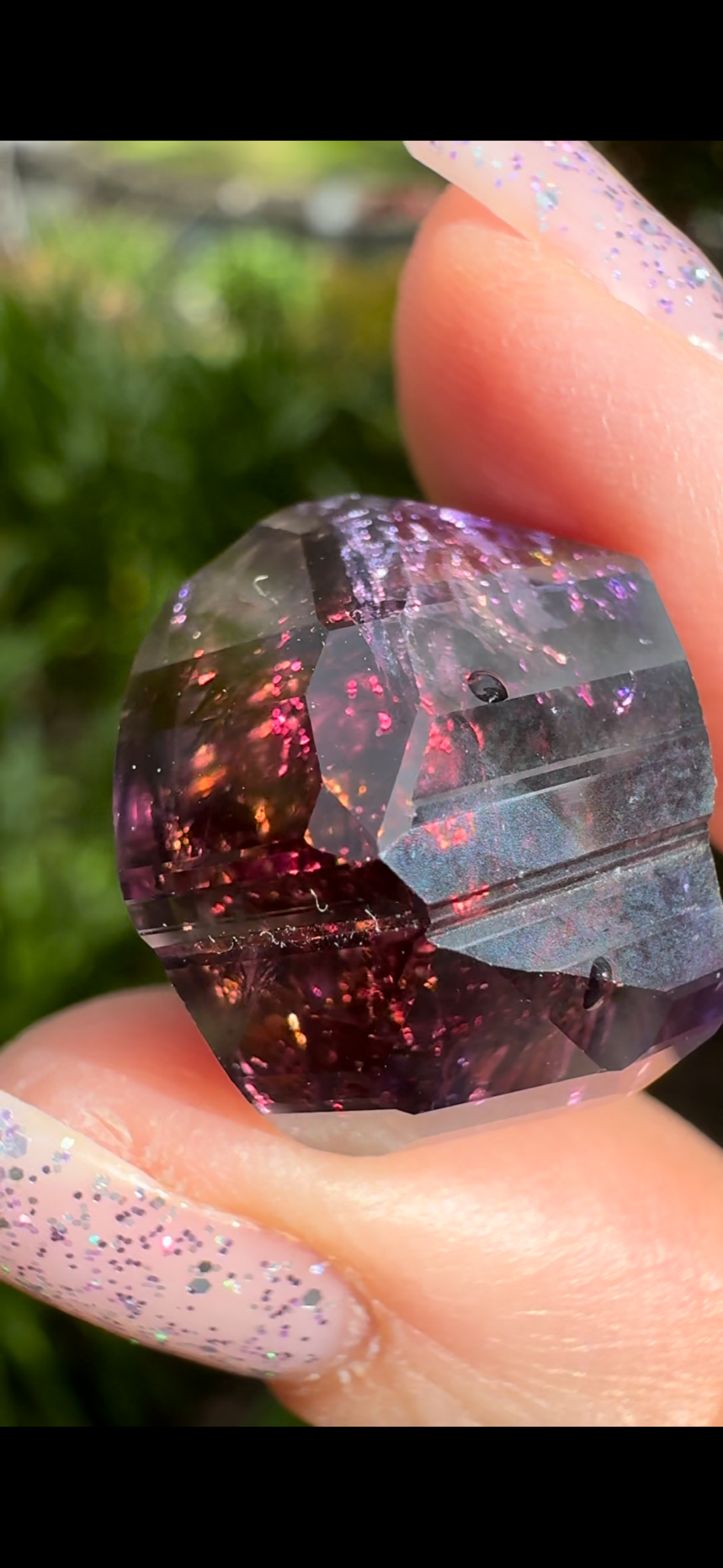 7370E7BB-4C0D-4A1D-8F7D-58C5BFCC4CE3