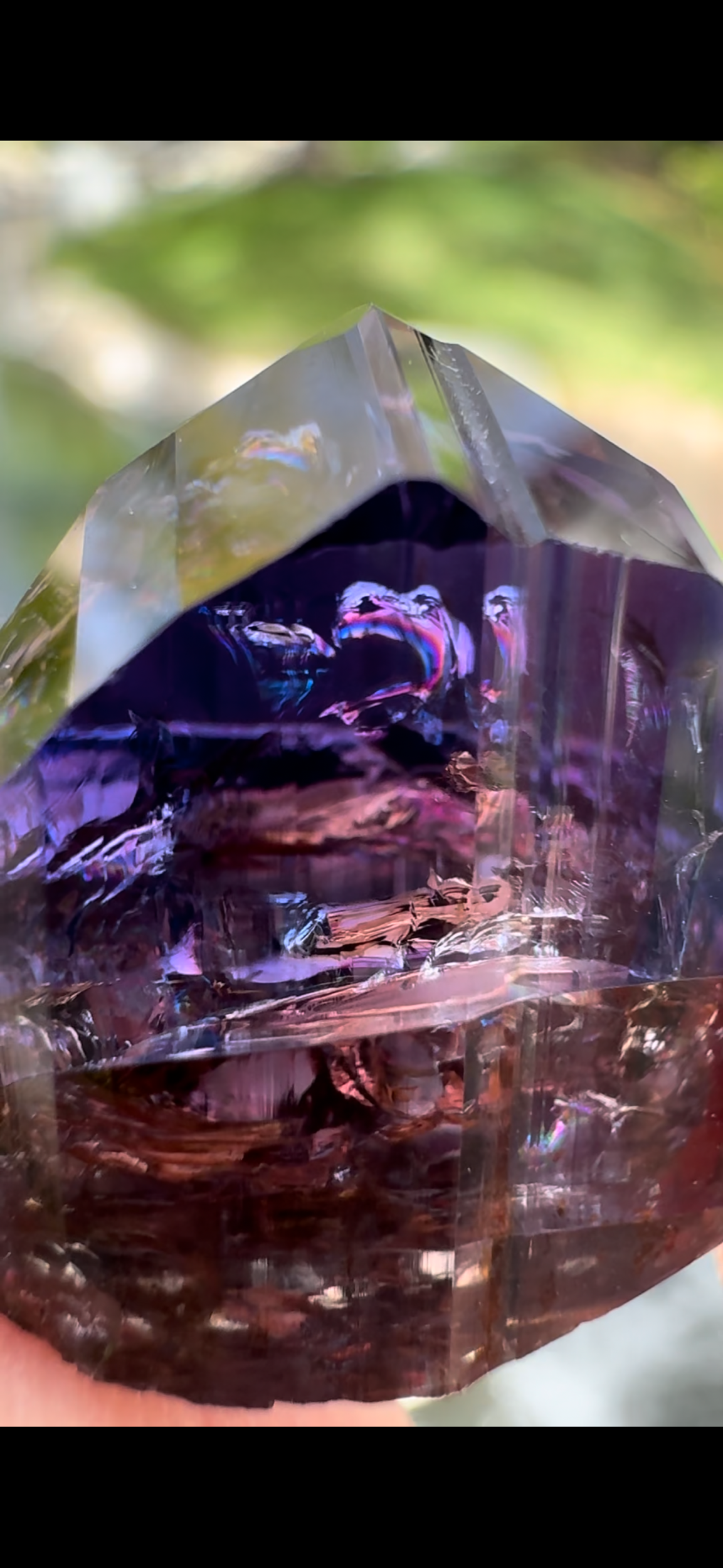 1B55F63F-F5A6-4EBB-888E-907D92463CD9