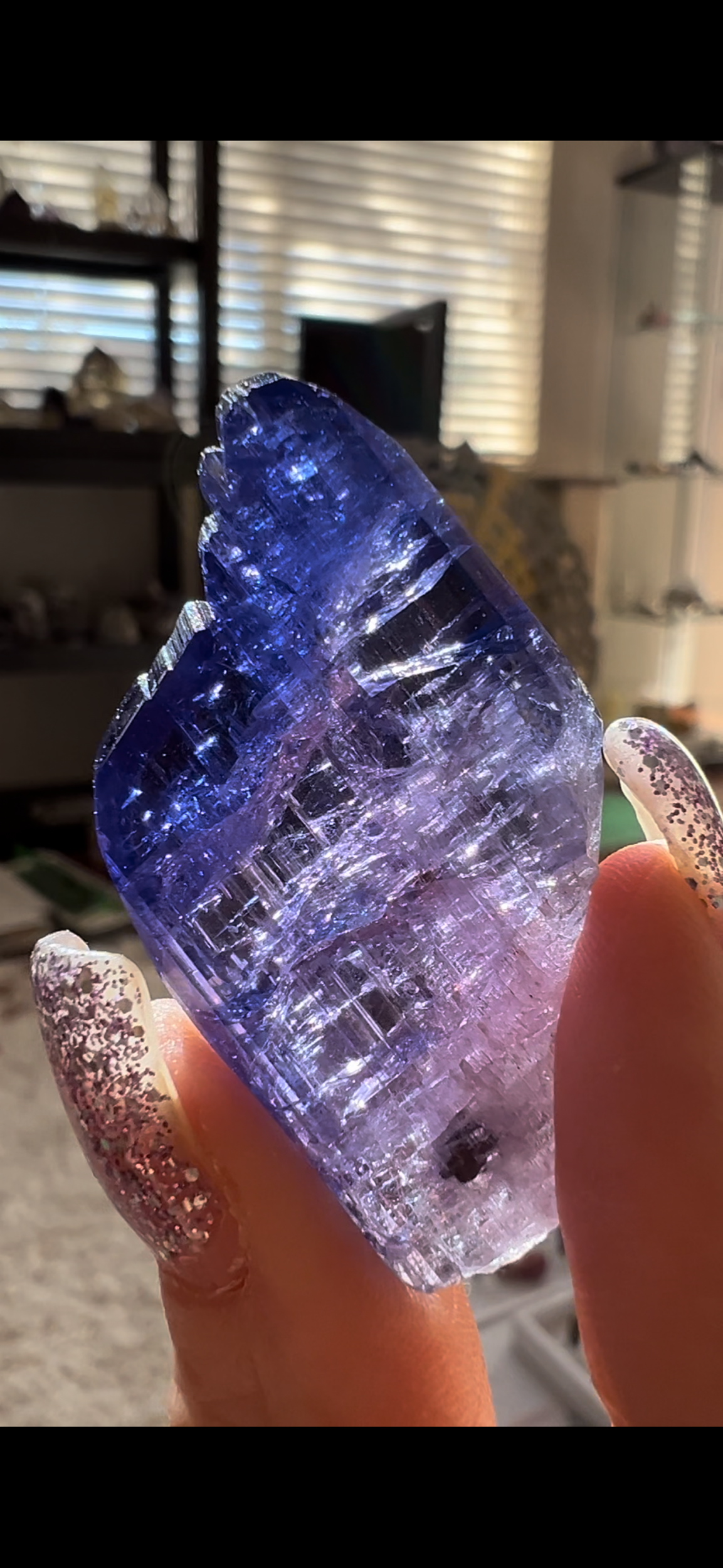 3CC74C38-BB7E-4193-A44A-80EB161E6159