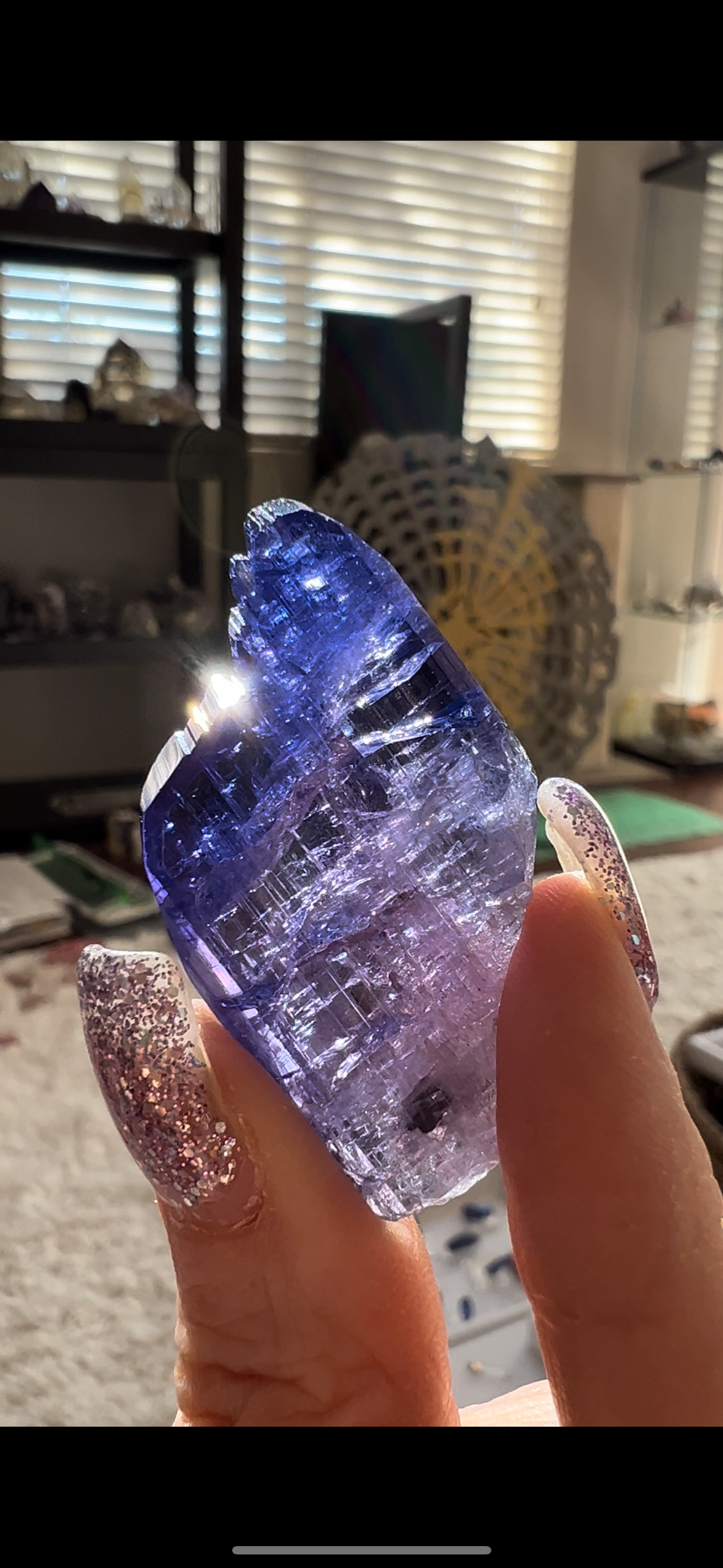 C1BFD8C4-D1E0-4AA4-9B9E-48AA12197401