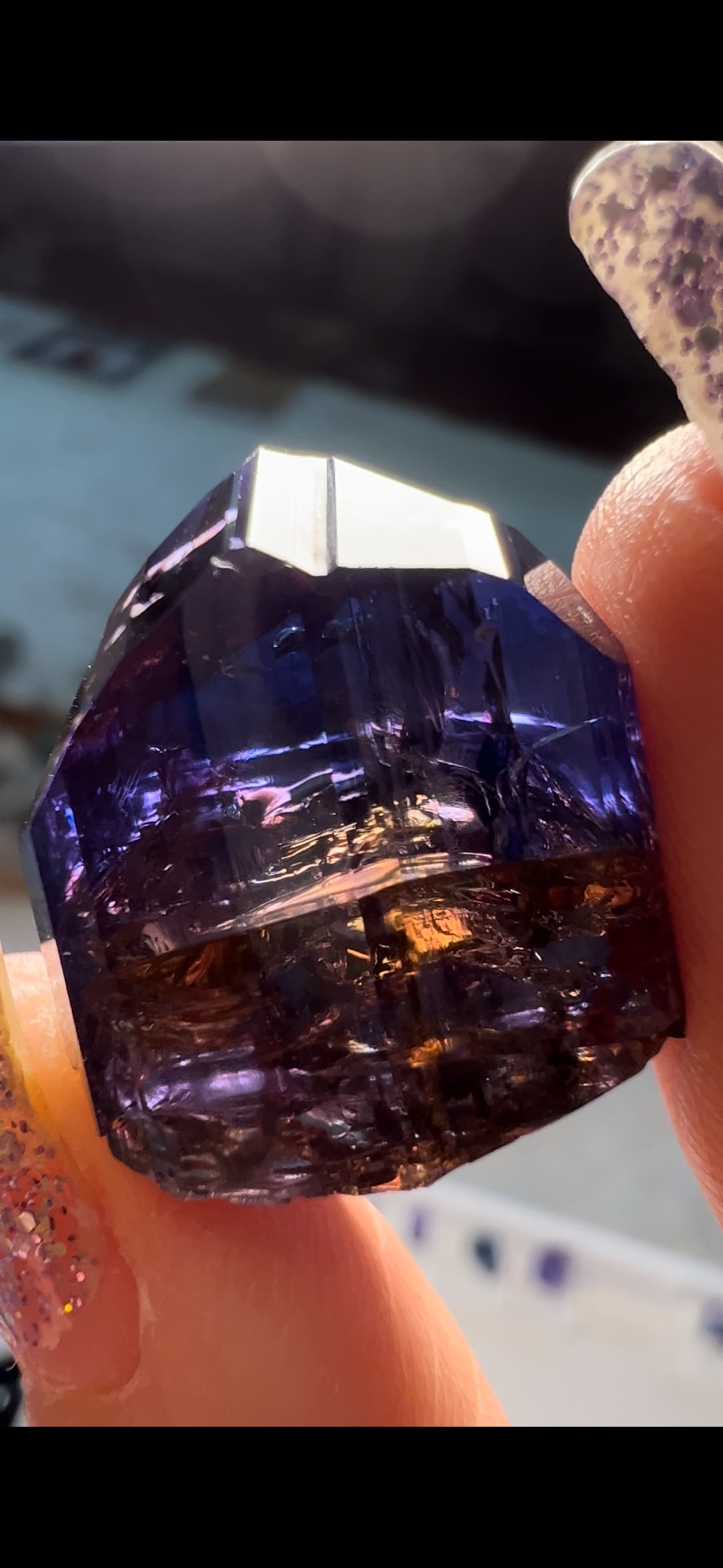 22583A95-8833-4A69-9D17-CA157D546311