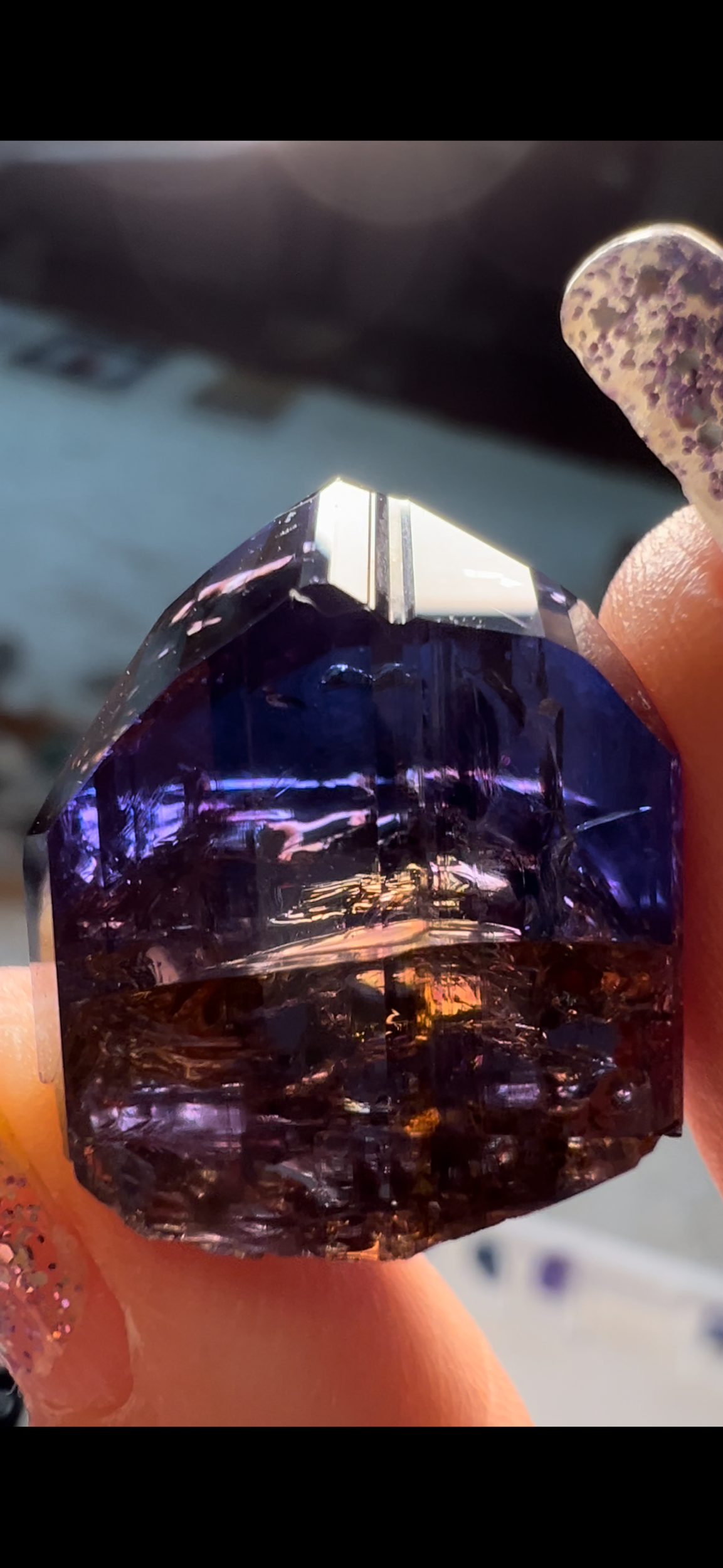 1555DFF4-1F30-4A9F-843F-BBD6F94A9FE1