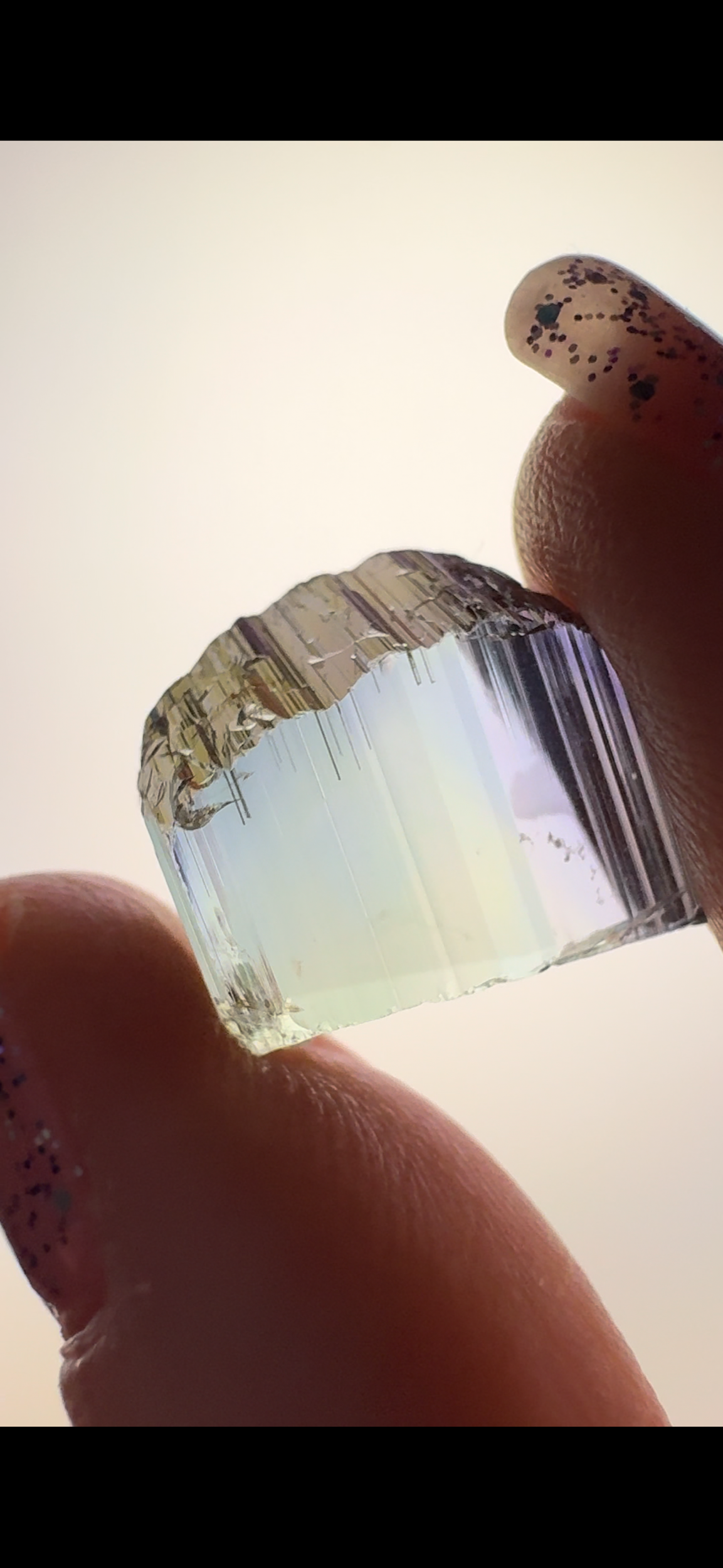 671E274A-459B-49F6-AA88-D70FF103D25E