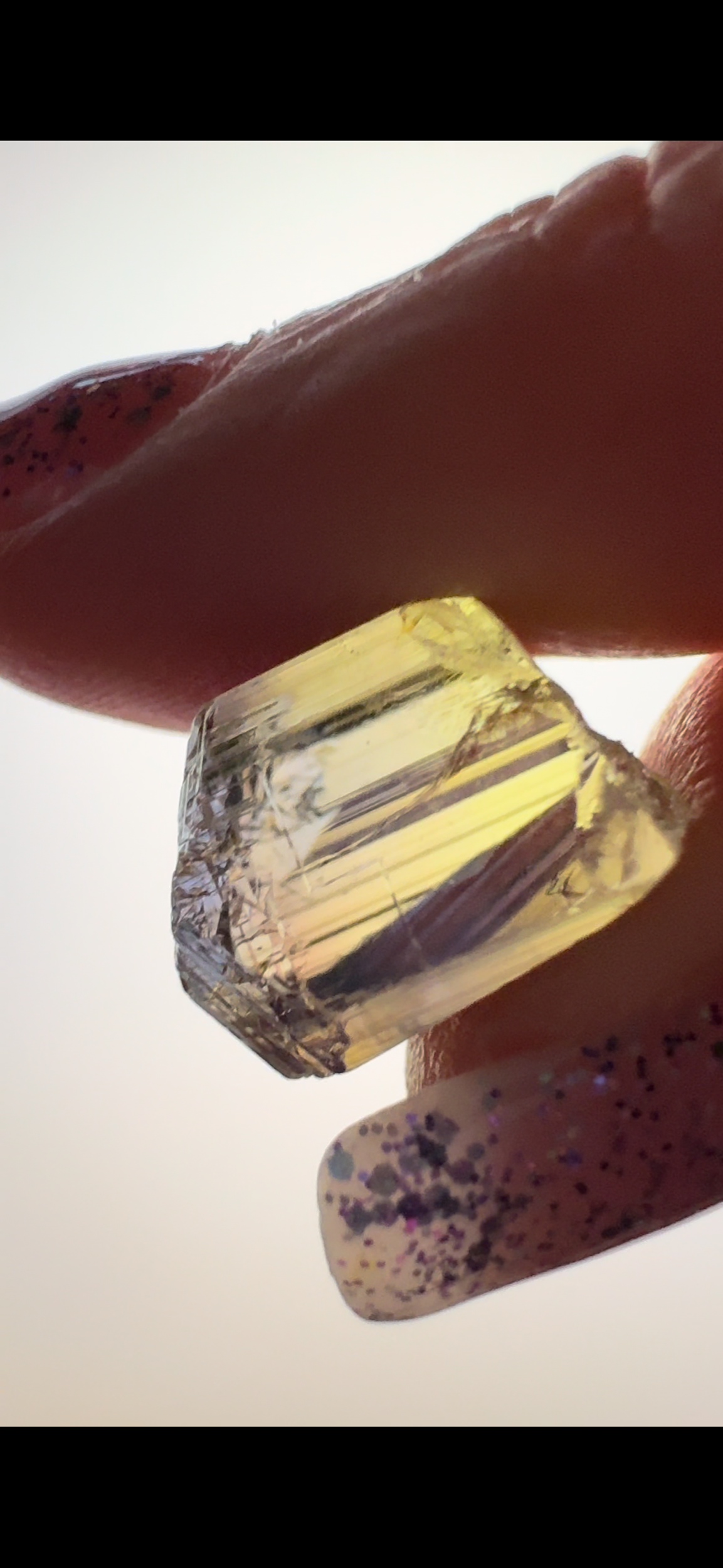 1D6DF3DB-474A-459A-8FB0-809A76AFB6F9