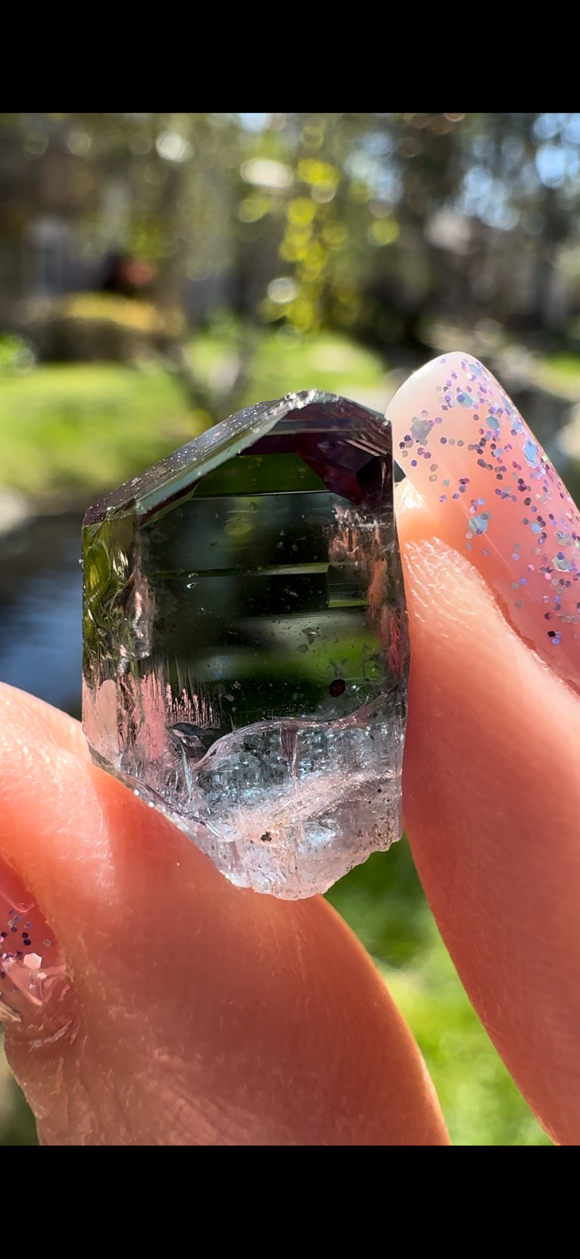 223289C4-8A10-4666-BFFB-6B296AFBF6F6