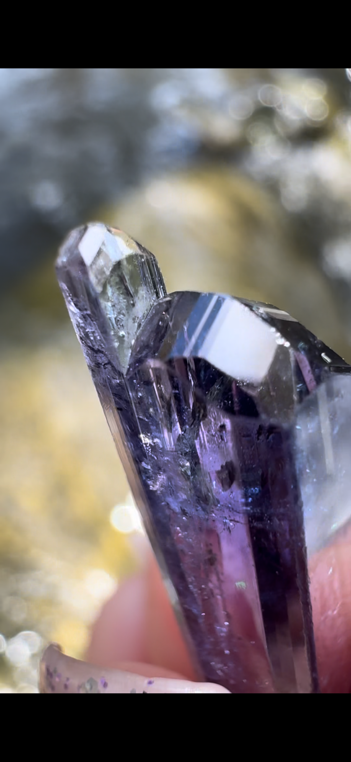 D4D32199-7EF4-4915-8EF1-DF4C50DA15C2