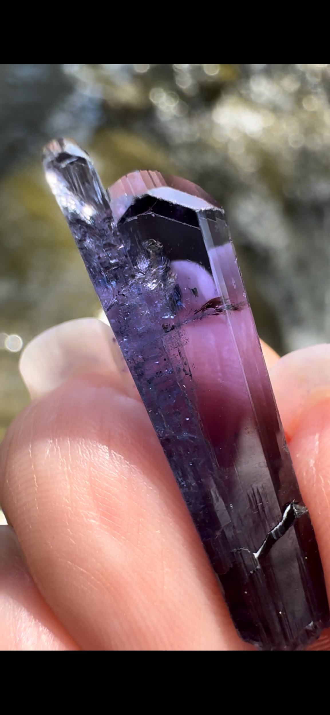 8F27ECFD-61FB-4807-966E-19916F9A1A20