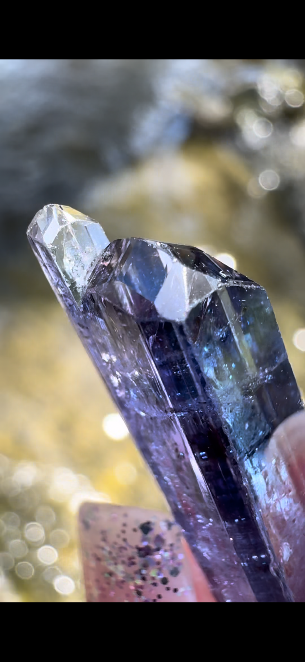 FF2E5B0B-0440-46F8-A5E4-6F9FC3795927