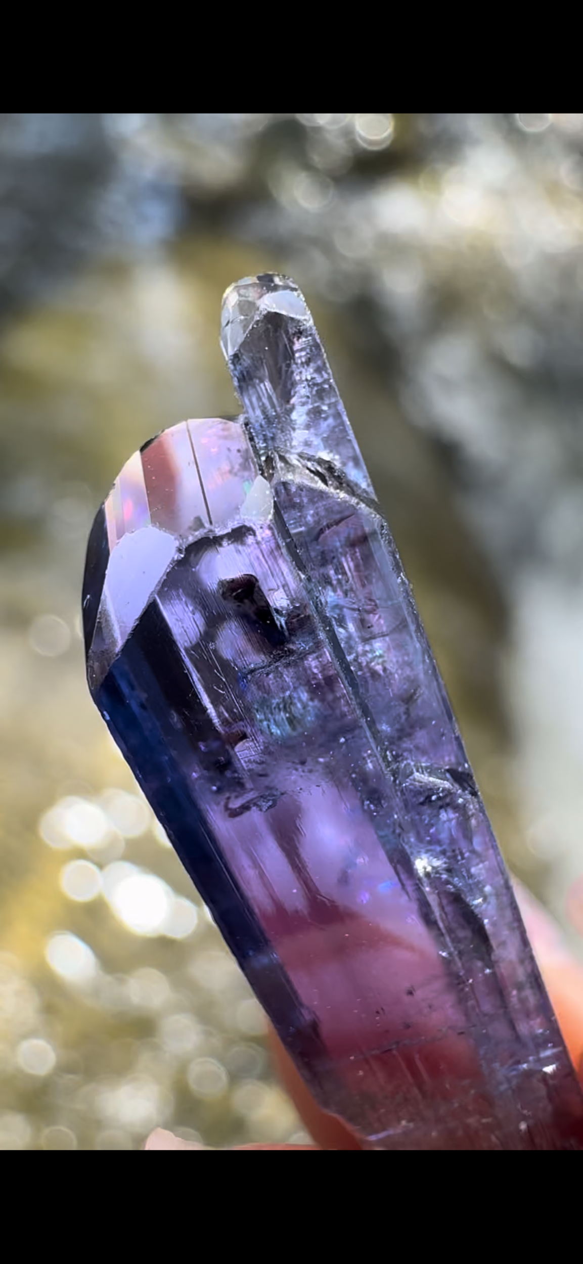 4AA3505A-01E7-4A7E-81E5-7A6019C7D48A