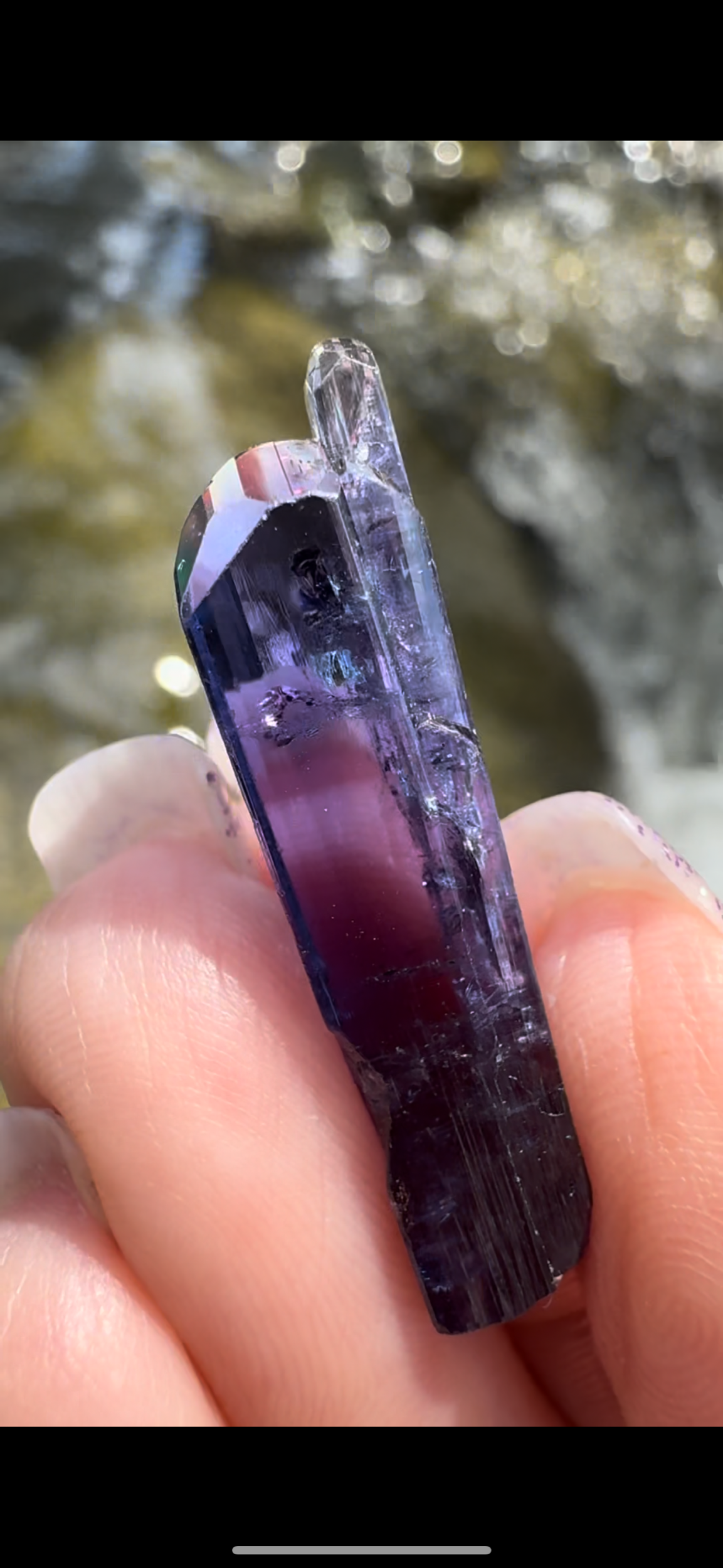 D105229A-B7D4-41F2-8F06-D8E0DF1D9AD4