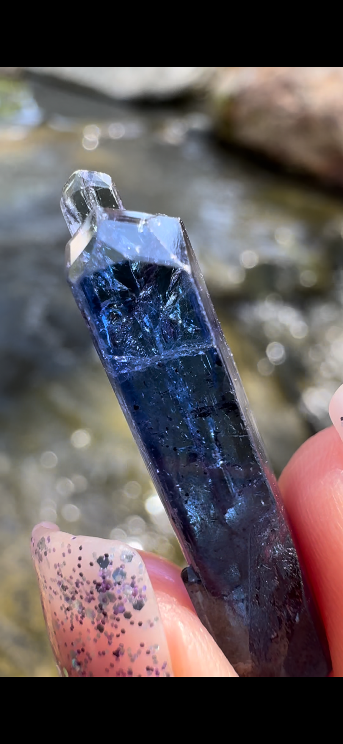 A063E402-281A-42FA-9E18-D3CD420F0483