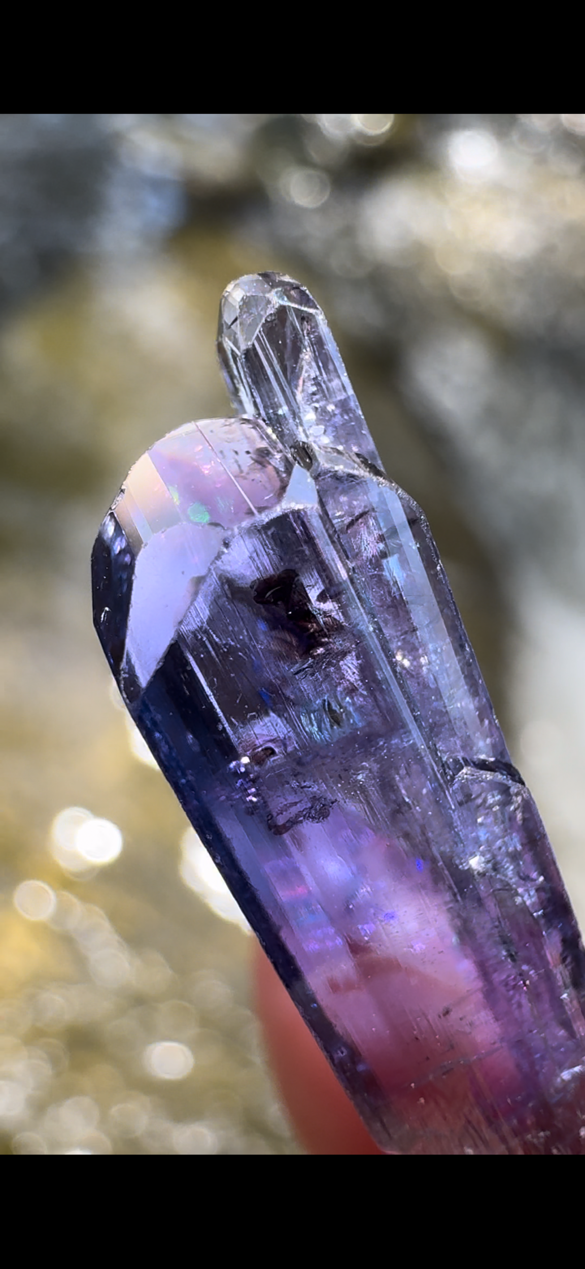 96171F40-197D-4F29-B072-57DDD174F650