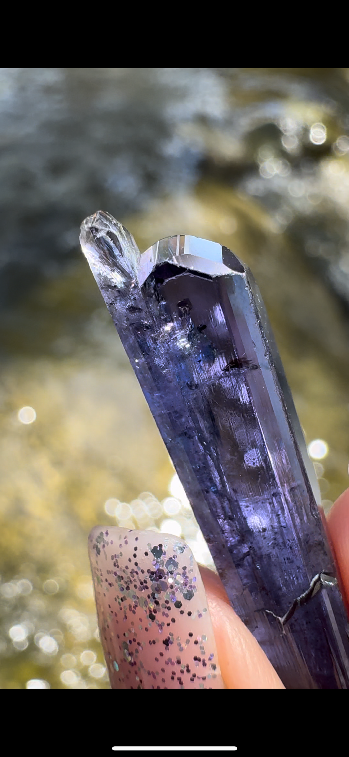 079081D8-910E-4856-AFC7-13D08F89C466