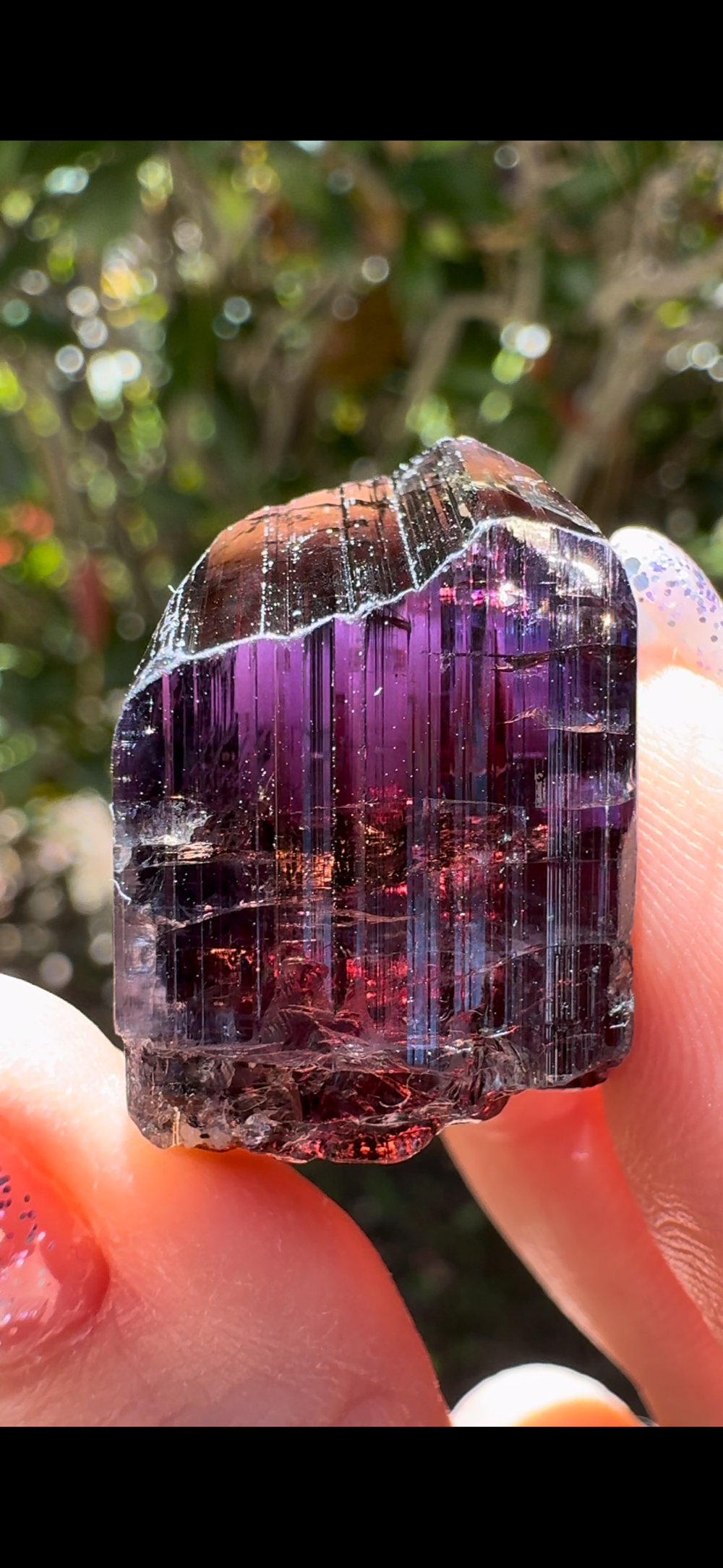 🩷 Absolutely Magnificent 17.4 gram Tanzanite Gem w/Red C Axis