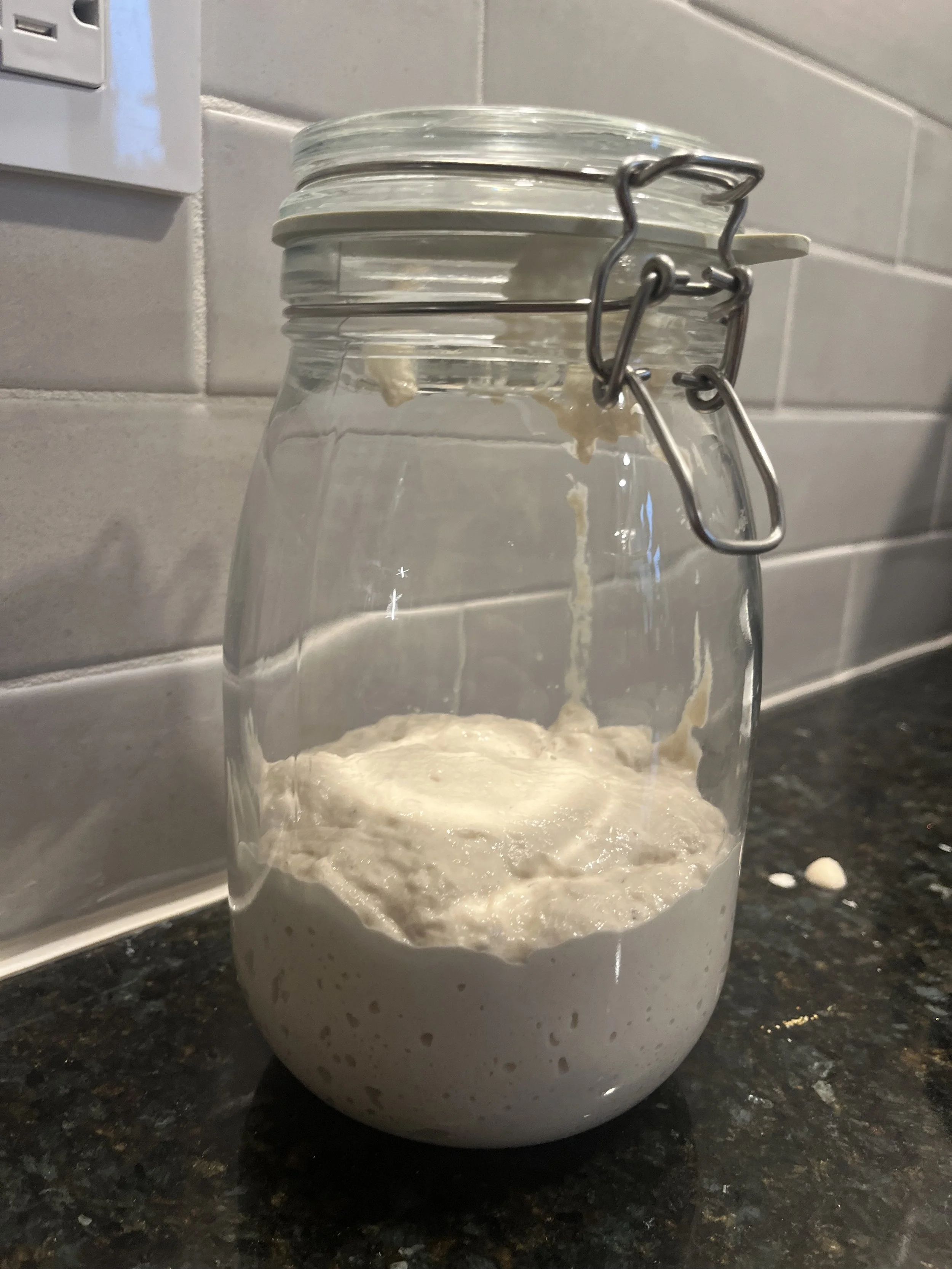 Choosing a Sourdough Starter that's right for you!