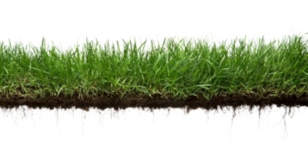 iStock_000006055580_ExtraSmall.jpg