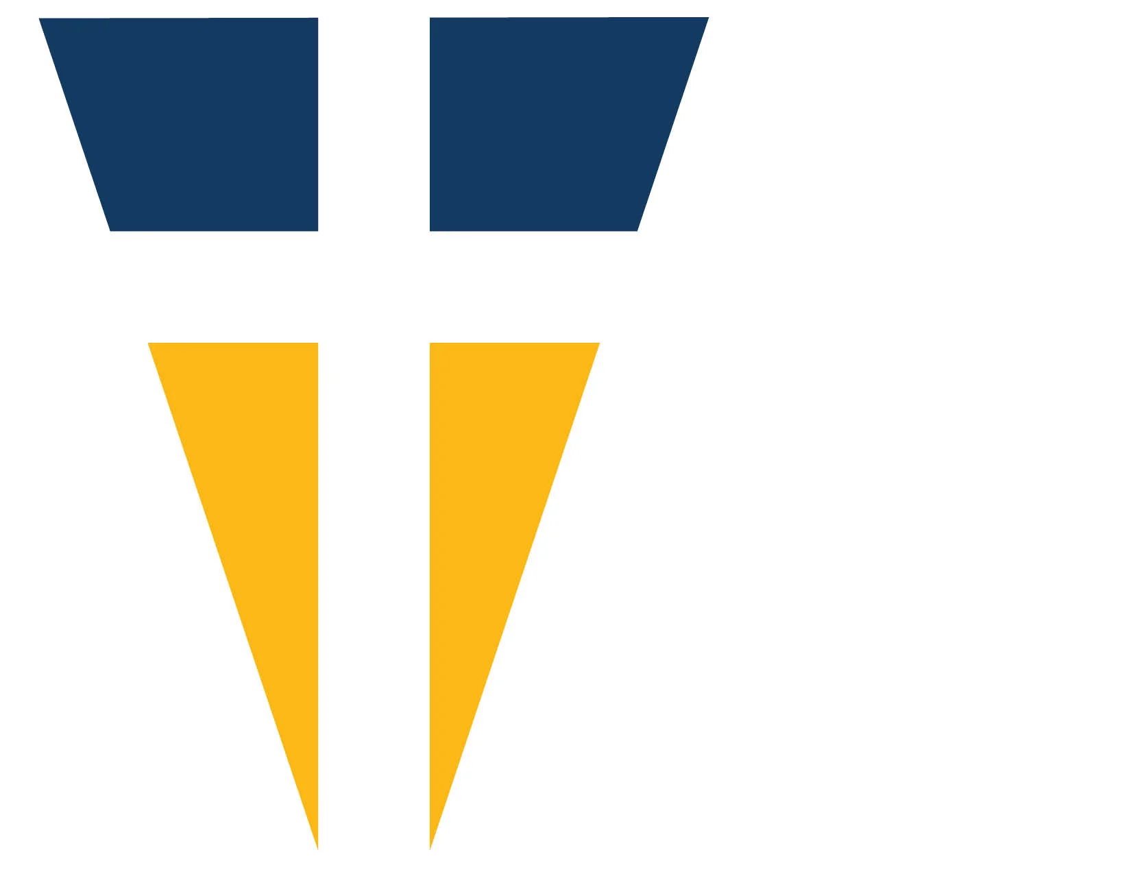 MCS-Website-Background-Images-MCS-Symbol-Left 2.jpg