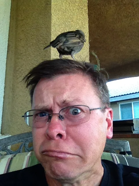 Pick a Little Talk a Little