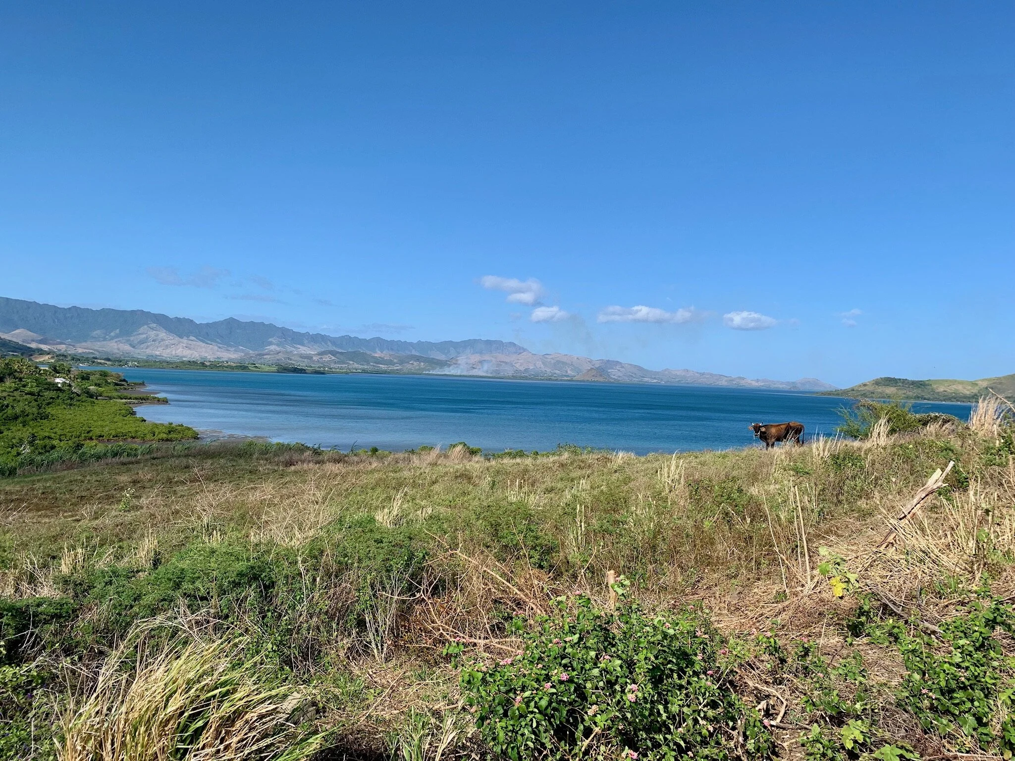 Eco-Challenge Fiji 12 - THE ROAD!!!