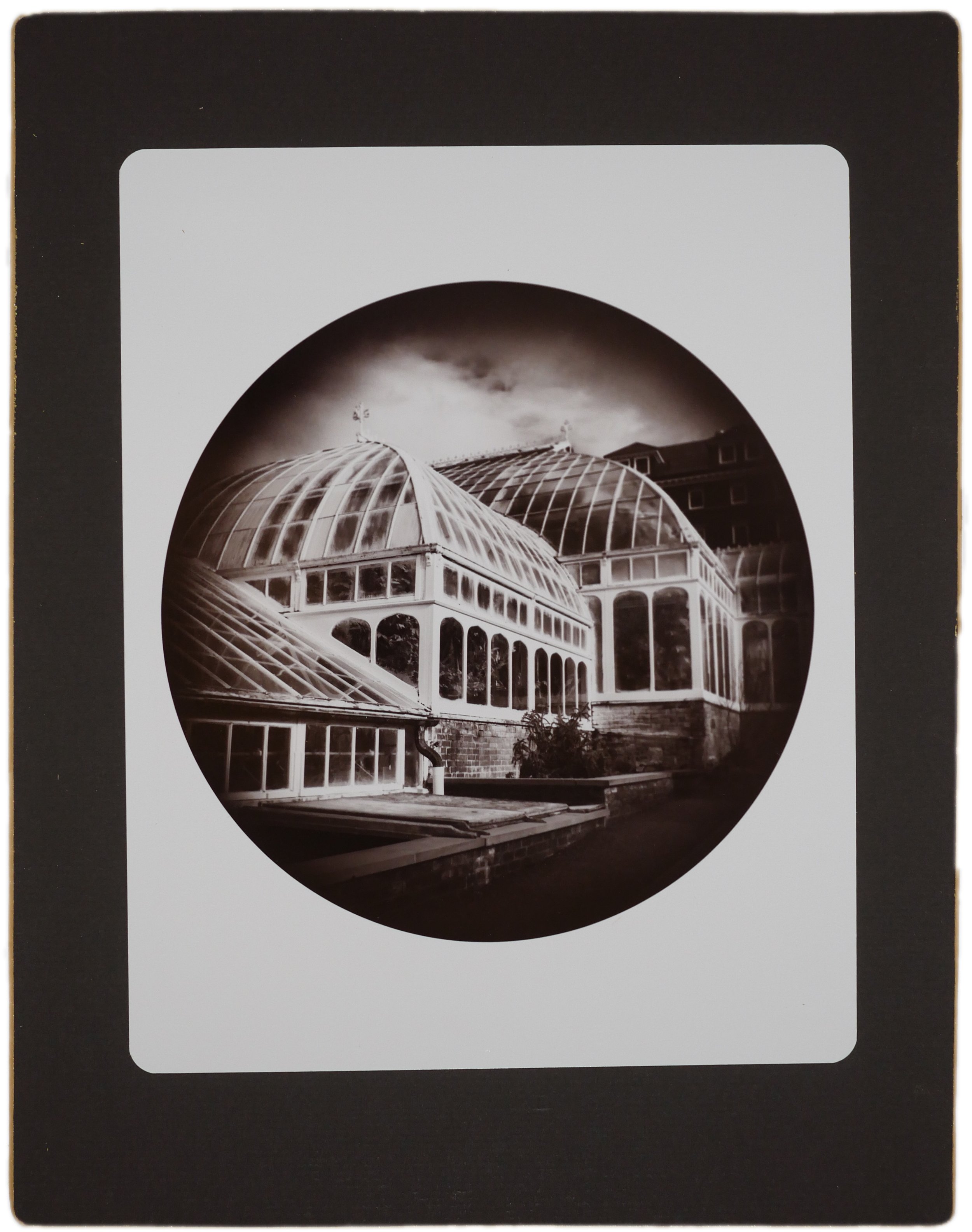 smith greenhouse.jpg