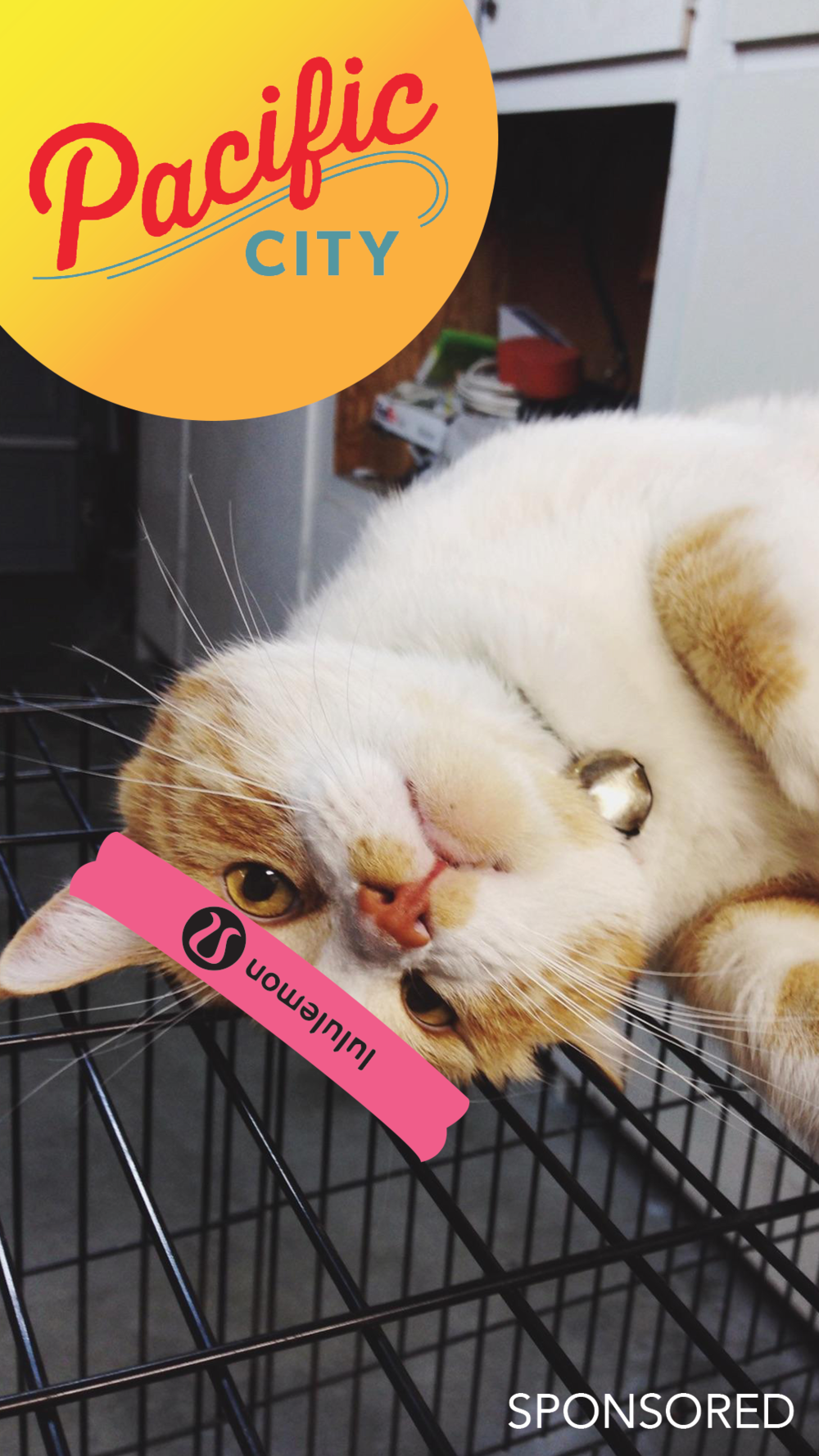 Social Media Advertisement: Snapchat Filter