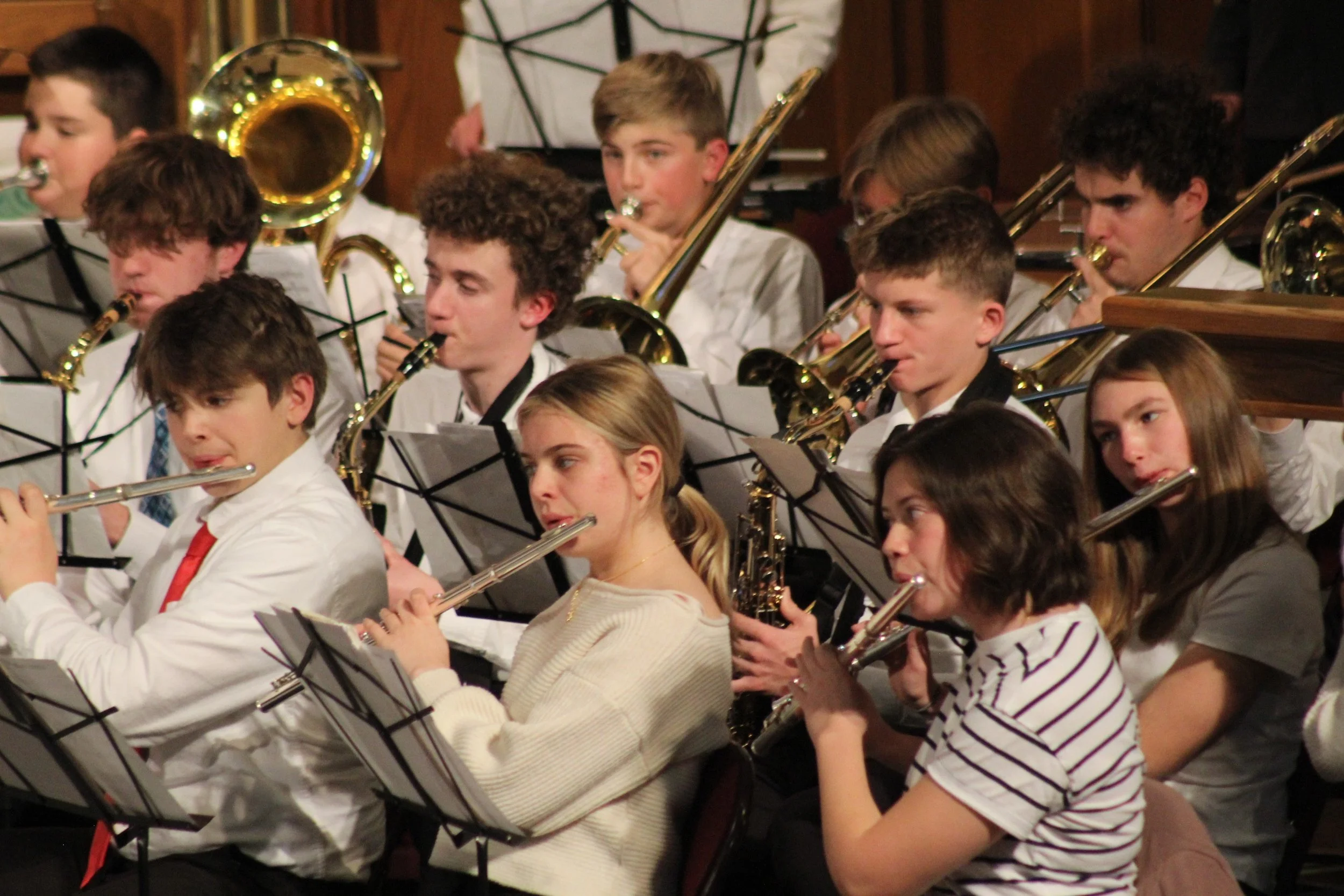 band for lhsa concert.jpg