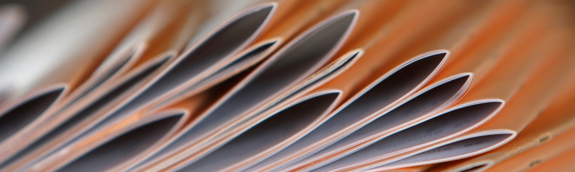 webpage bckground.png