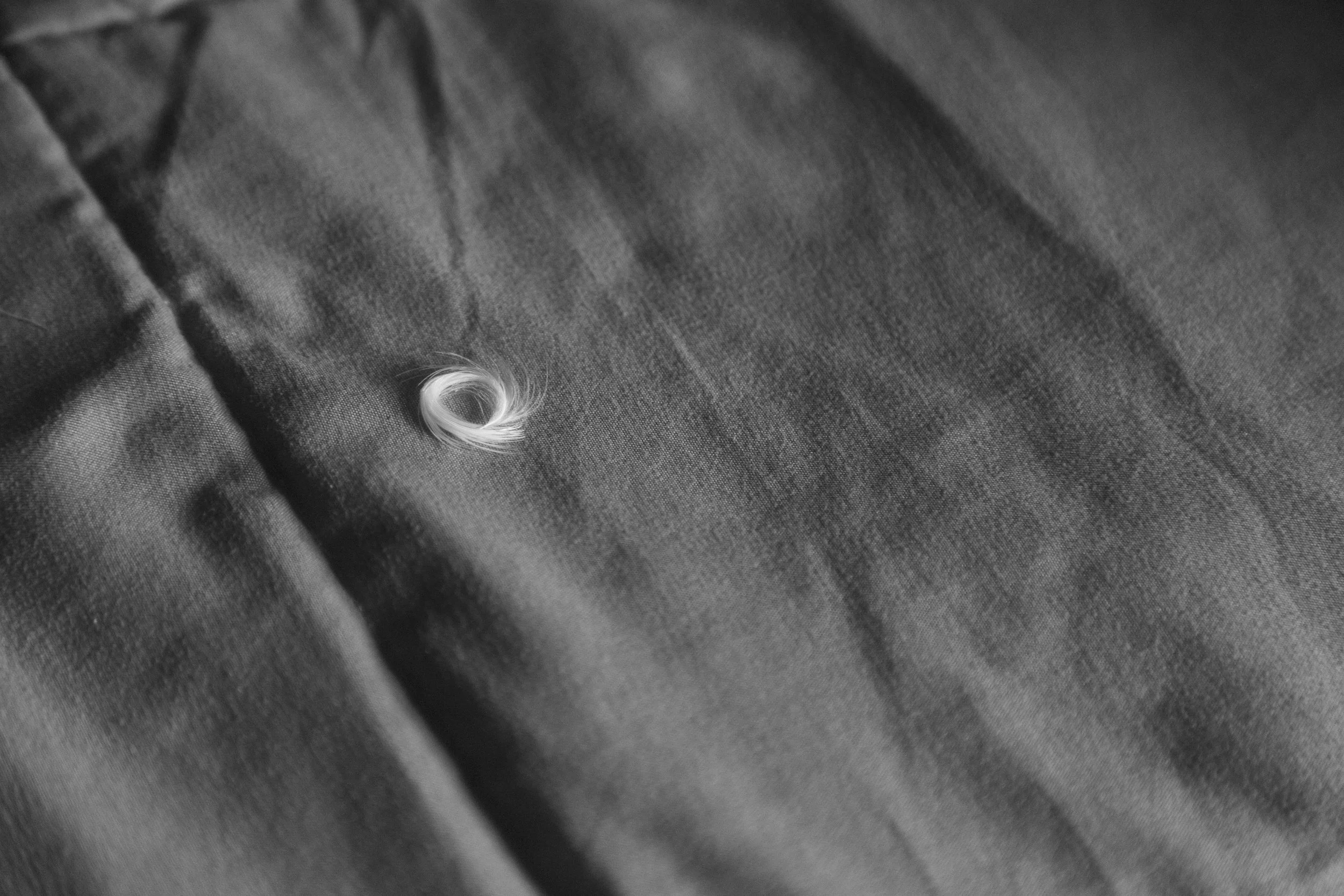 GA1_2632.jpg