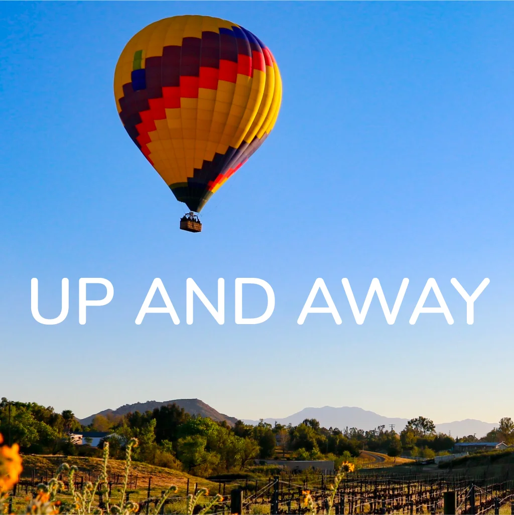 View Temecula Wine Country from a Hot Air Balloon