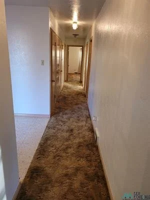 Paragon 5 Image (8).jpeg