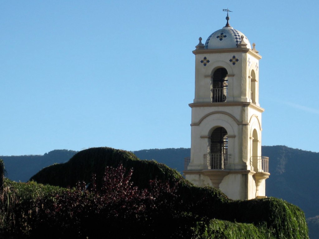 Website Home Page.jpg