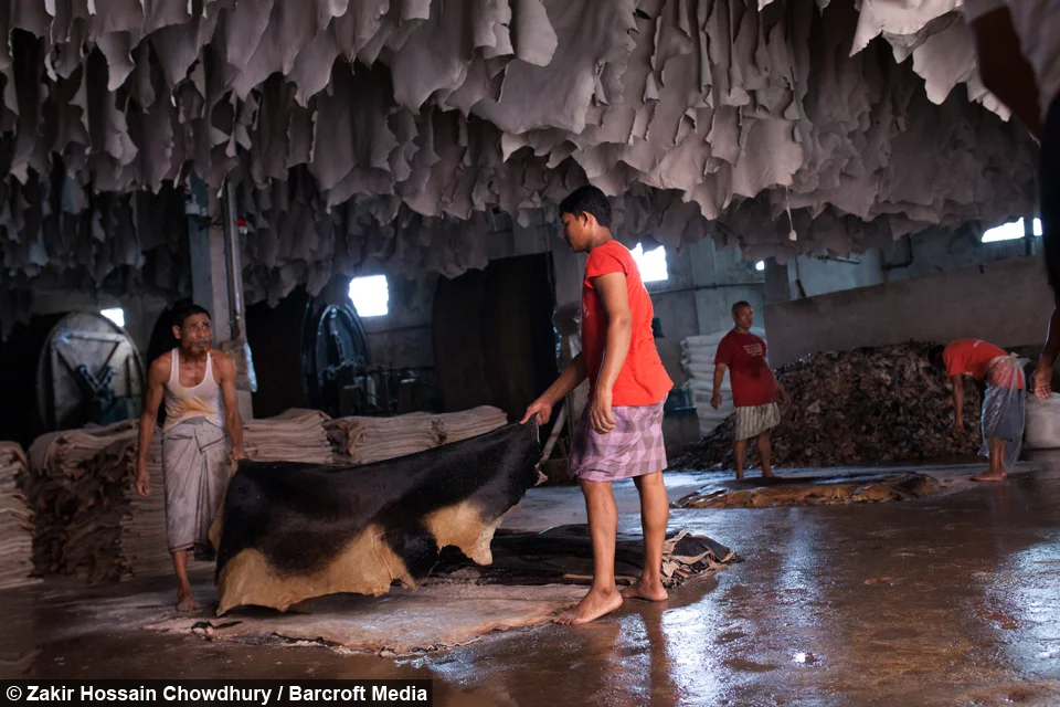 Worldwide Regulation