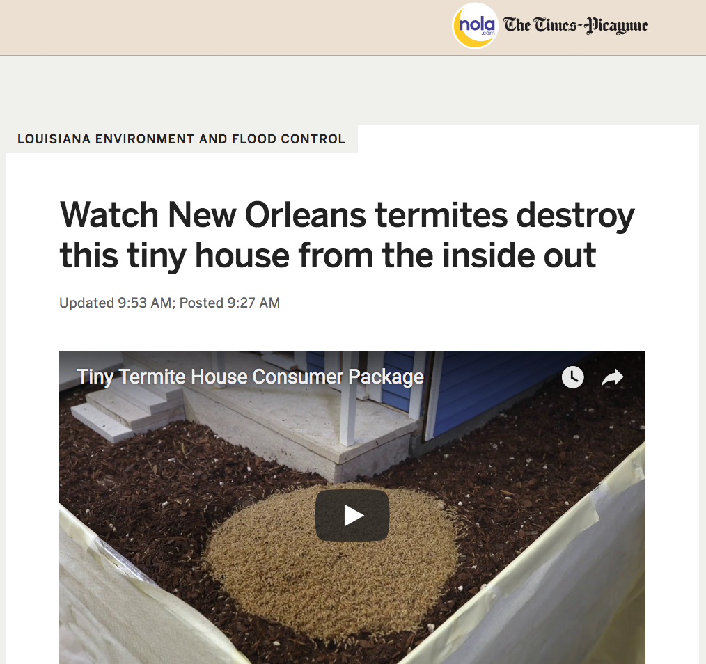 Termitestory.png