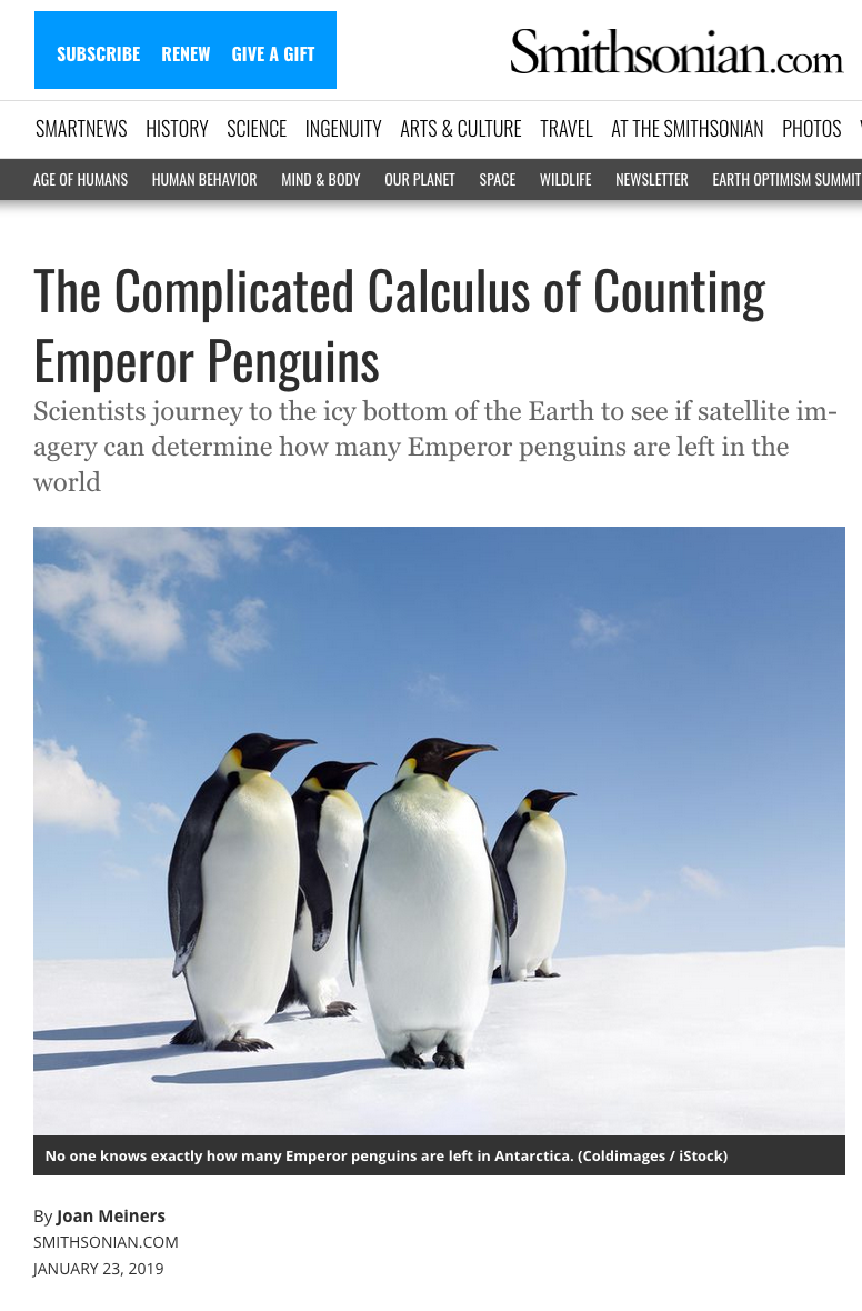 penguins.png