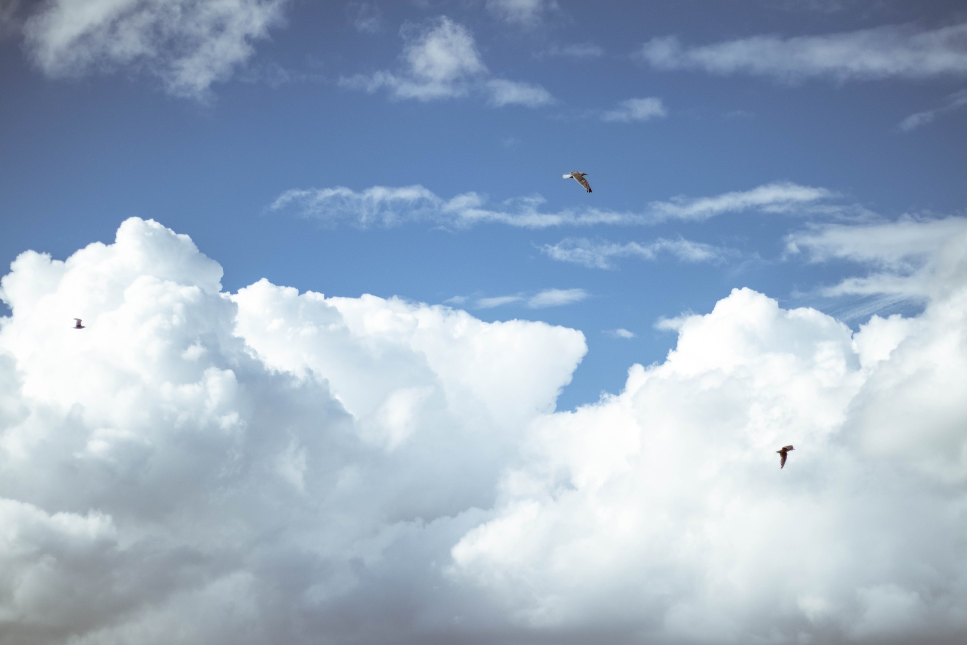 sky-2679999_1920.jpg