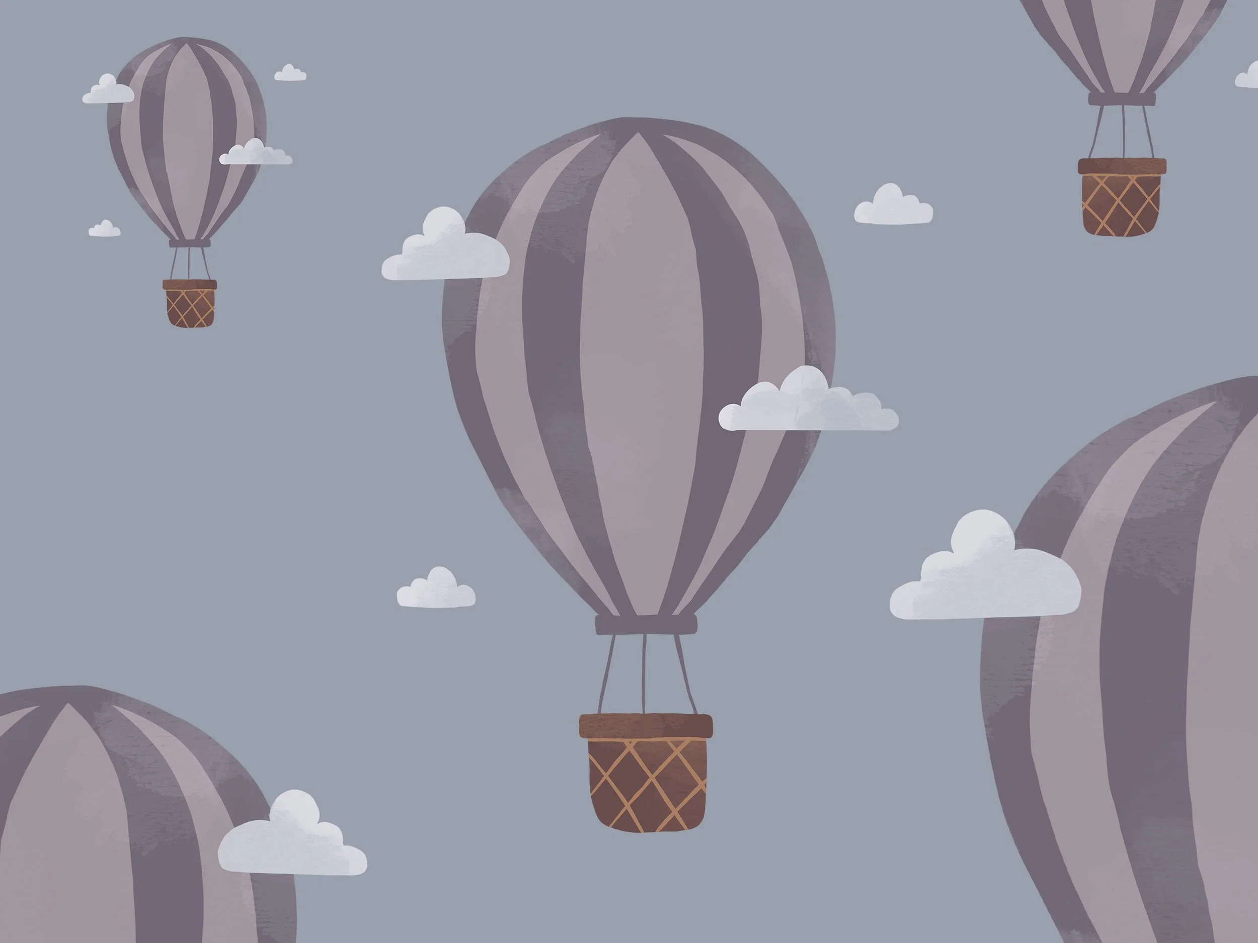 Hot Air Balloon Size.jpg