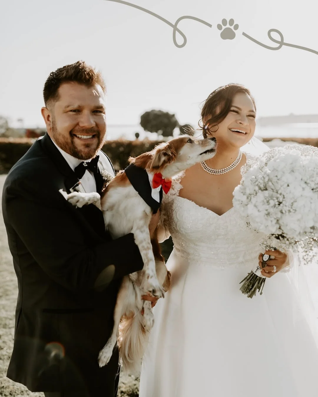 All you need is love and a dog! Moments made better with your dog by your side - always a yes for me 😊 🐶⁠
⁠
Videographer @interstellar.films⁠
Bouquets @_kaysbouquets⁠
Mariachi @_mariachiguadalajara⁠
Hair &amp; Makeup @jolidejackie⁠
Floral Designer 