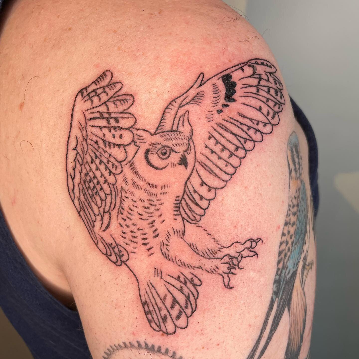 Hunting Great Horned Owl for Amit, who knows his birds. Thanks for the trust! #greathornedowl #owltattoo #birdtattoo #owl #queertattooartist #pdxtattoo #pdxtattooartist