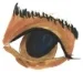 eye 3.jpg